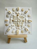 Coastal Shell Bloom