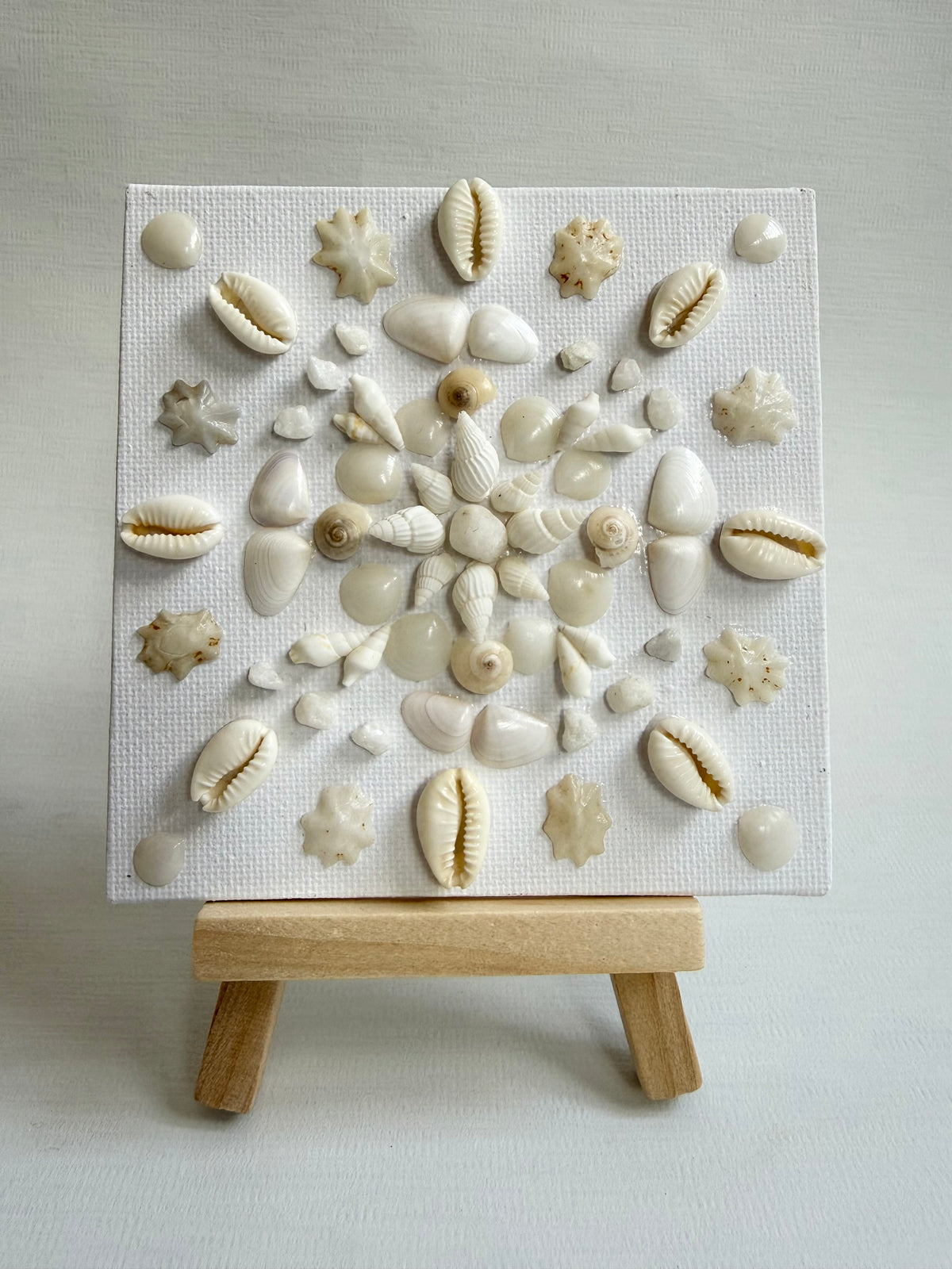 Coastal Shell Bloom