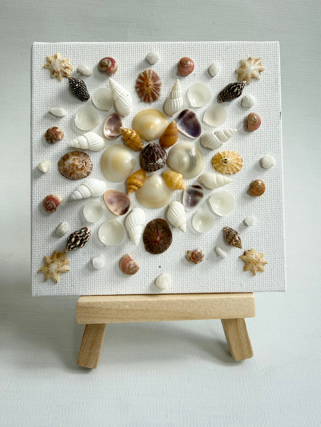 Ocean Treasure Bloom