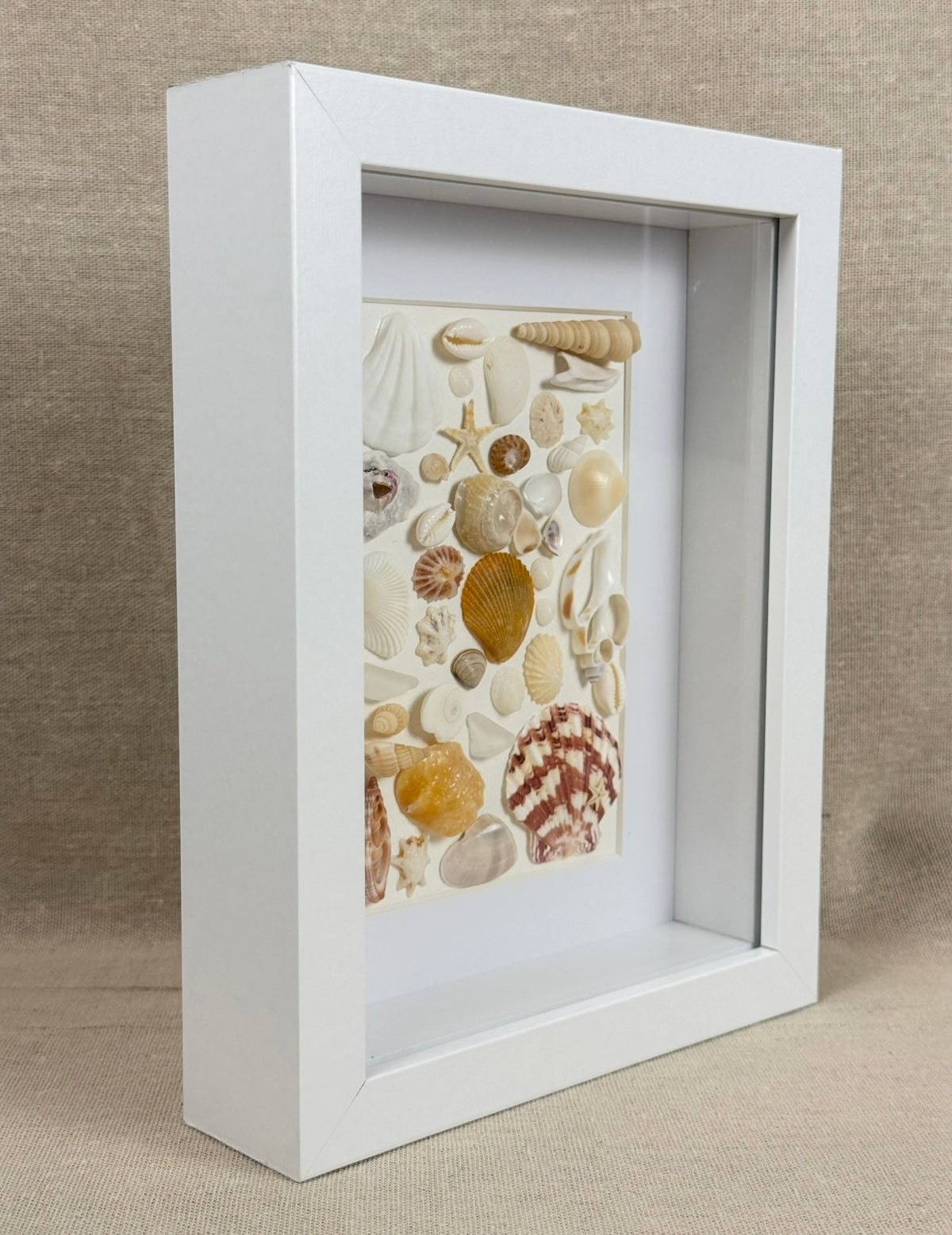 Sea Treasures Collection