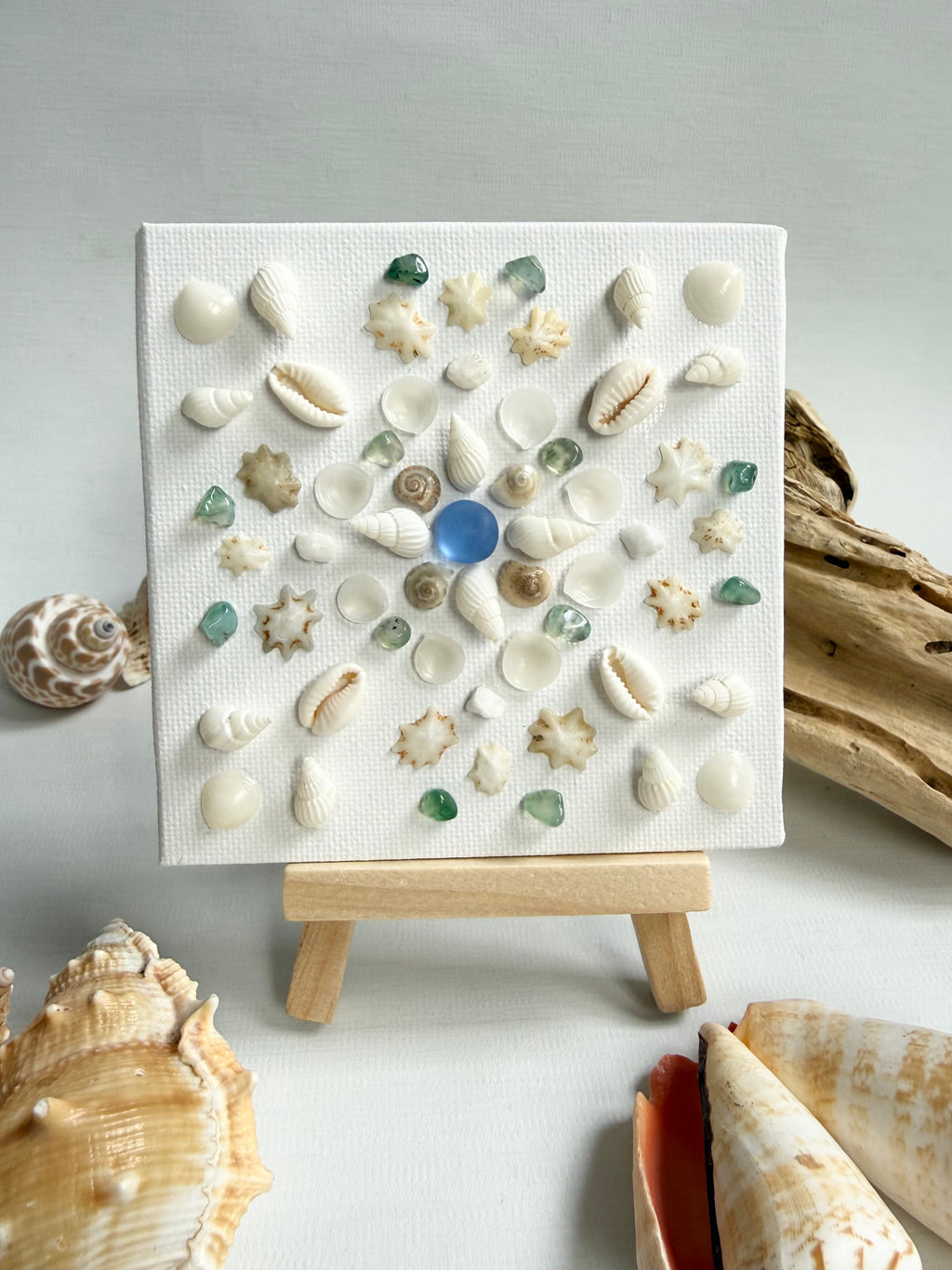 Seaford Shell Art