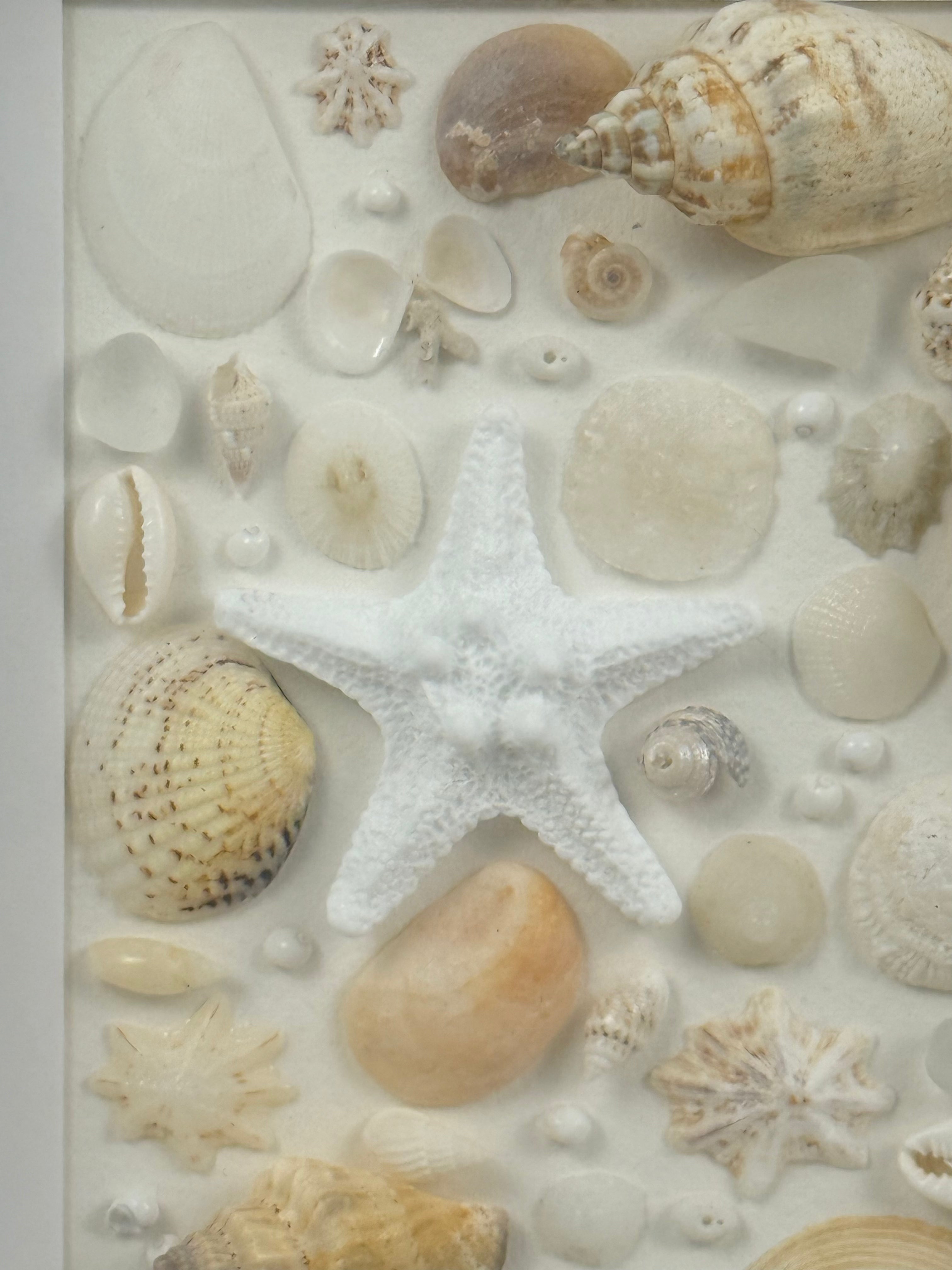 White Coastal Shell Art