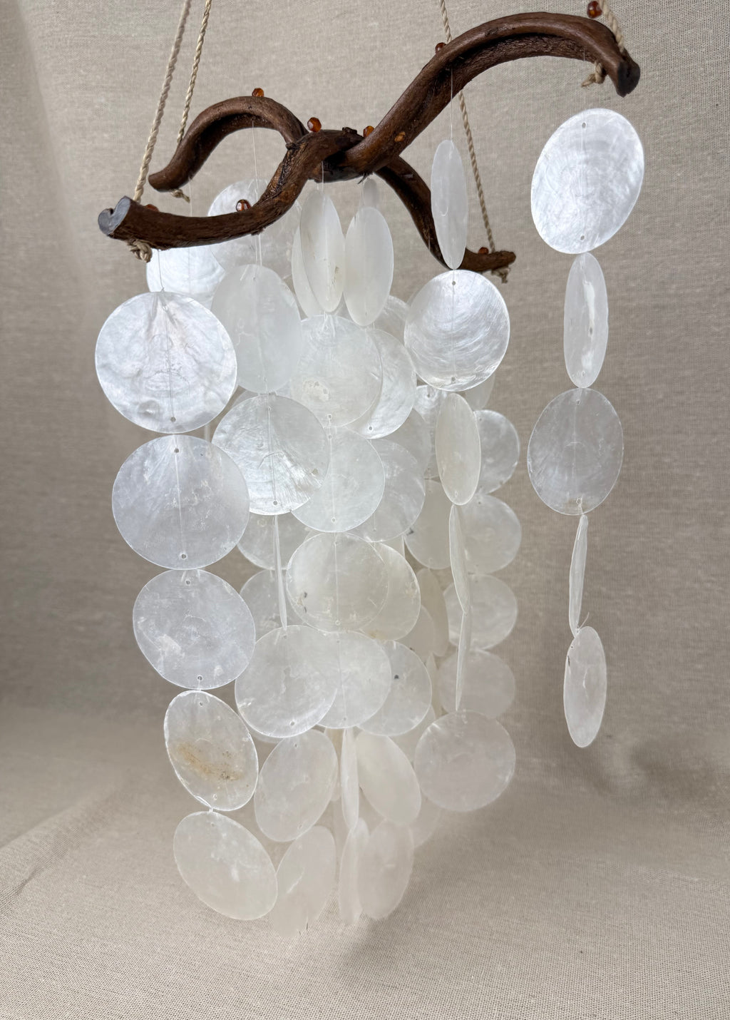 Coastal Driftwood & Capiz Shell Wall Hanging