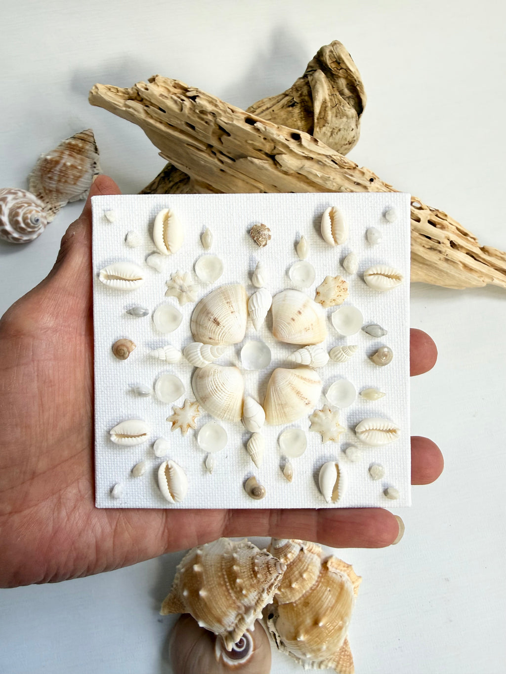 Pearl Coast Mandala