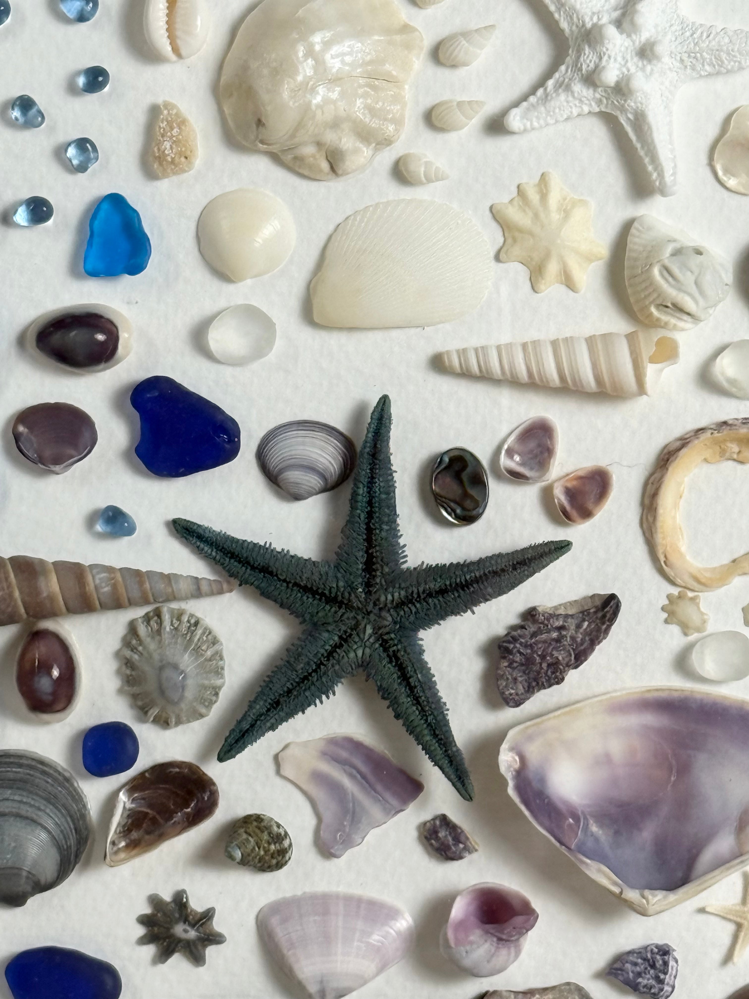 Sea Glass & Shell Collection