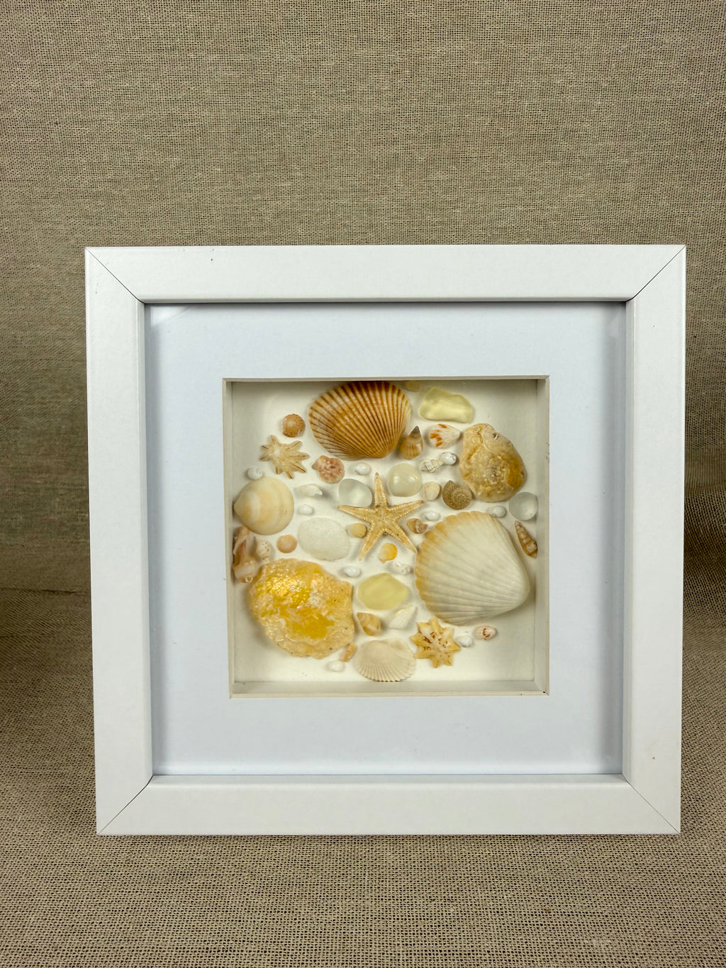 Sunrise Coastal Collection