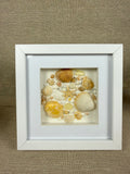 Sunrise Coastal Collection