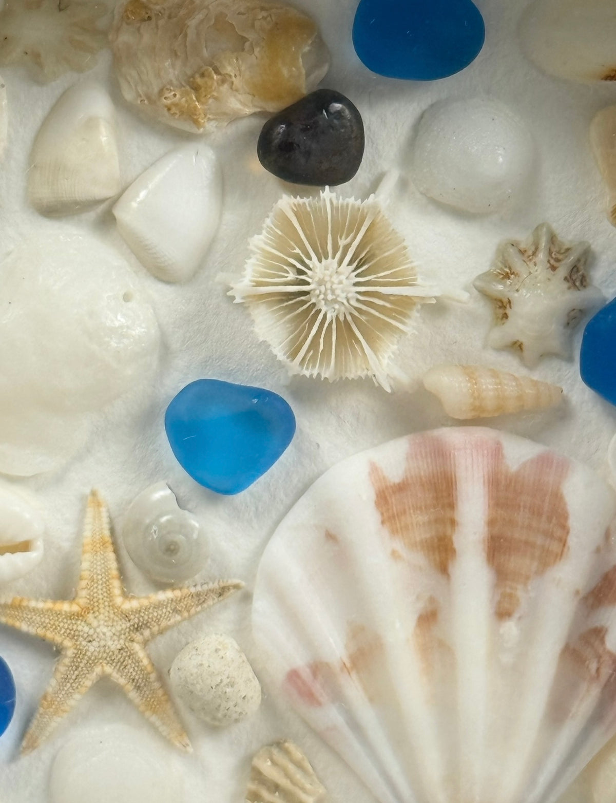 Blue Ocean Collection