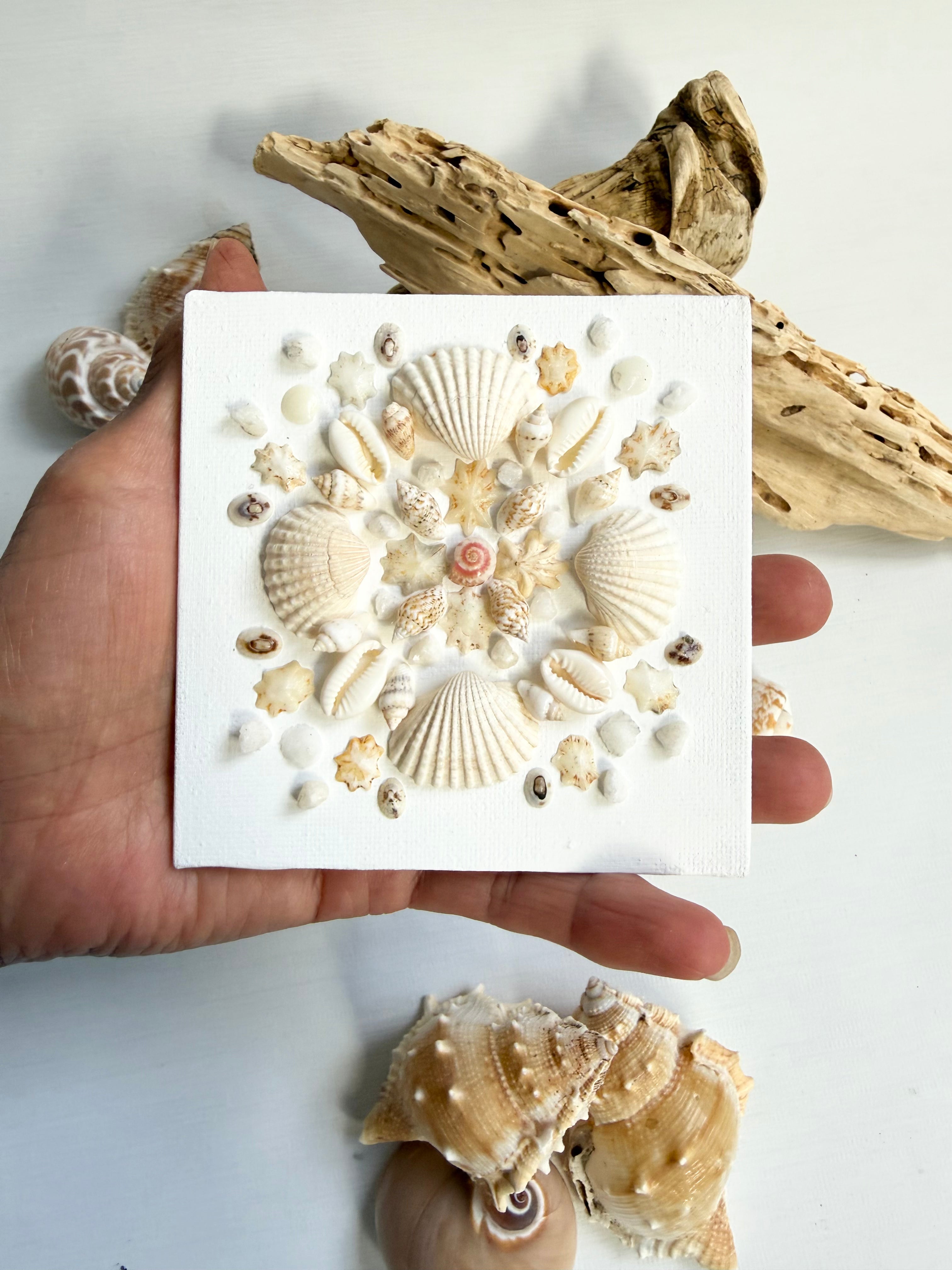 Ivory Tide Bloom