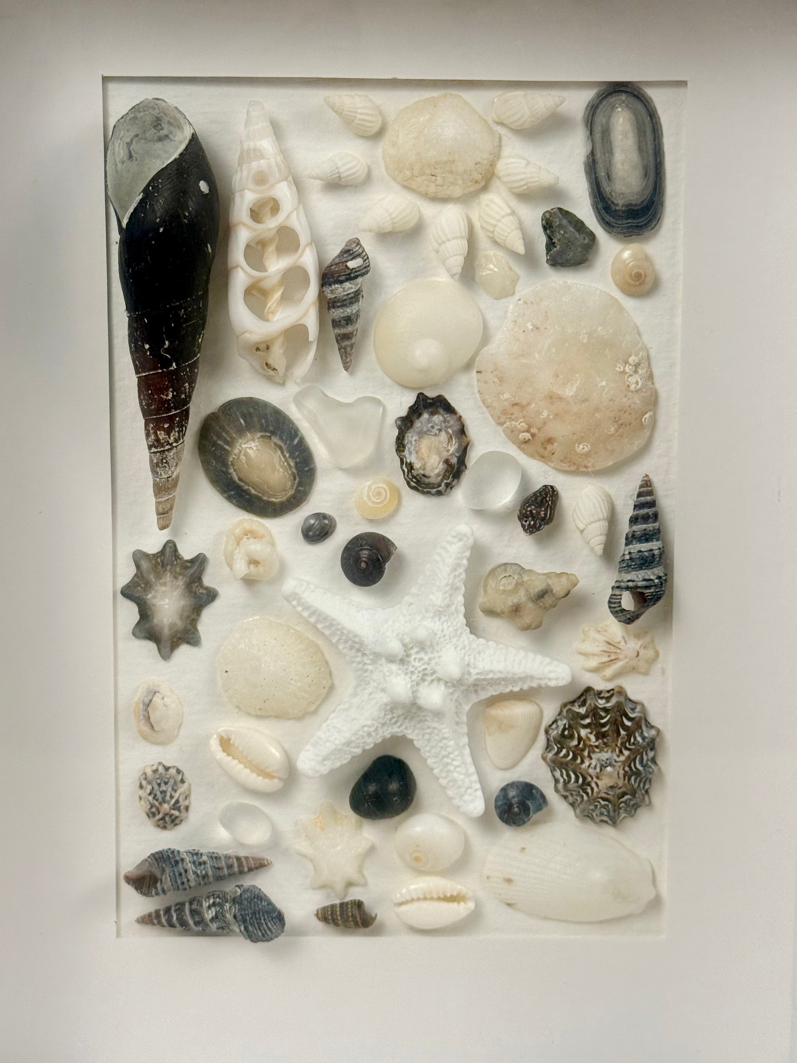 Shell Art – Coastal Collection

Bring a touch of the Australian coast into your home with this delicate handmade shell art.

A beautiful selection of natural seashells, sea glass and a small starfish are carefully arranged in soft shades of white, ivory a