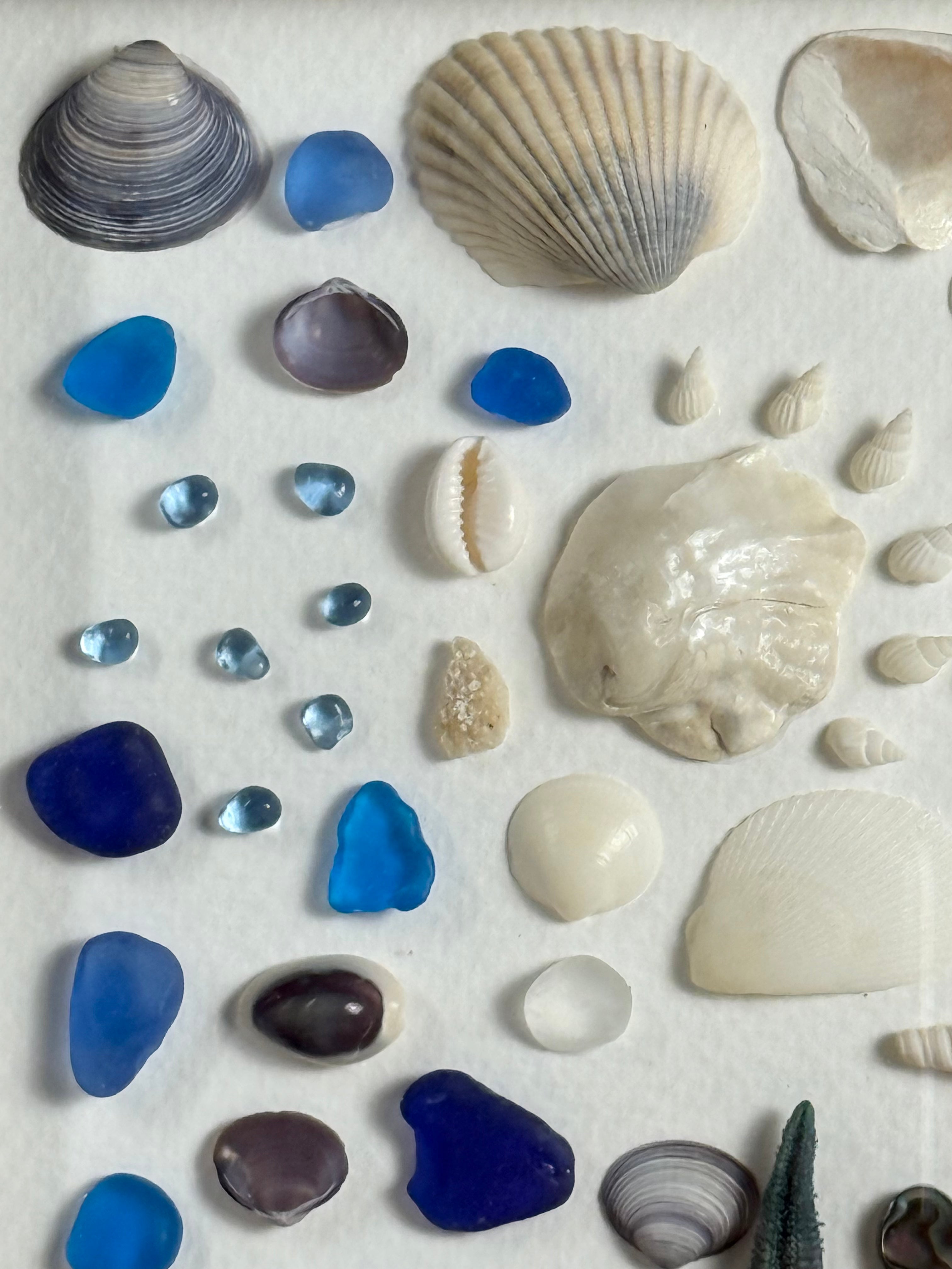 Sea Glass & Shell Collection