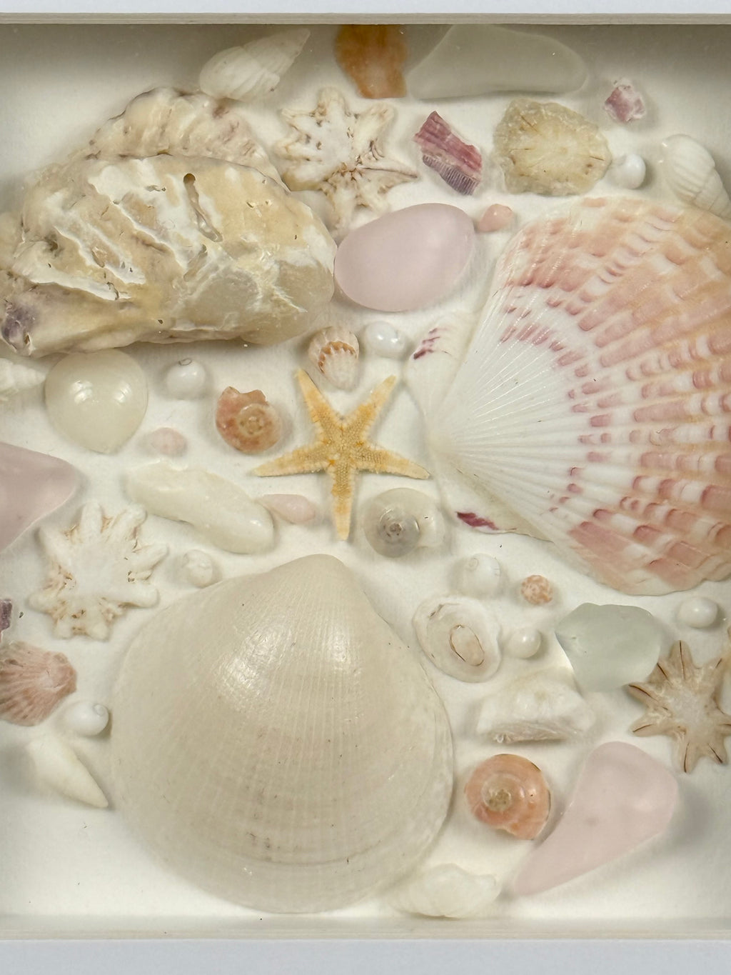 Pink Coastal Collection