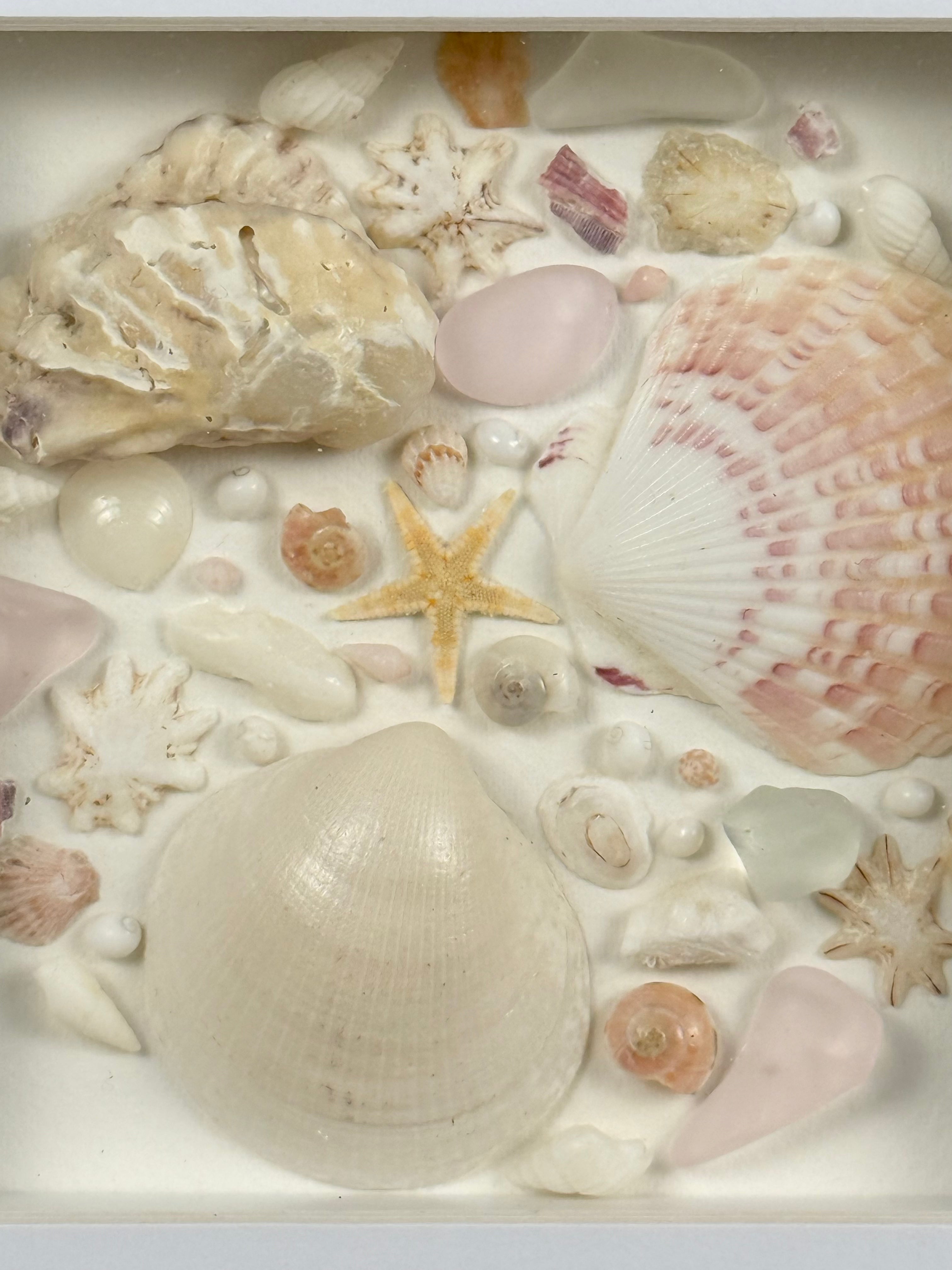 Pink Coastal Collection
