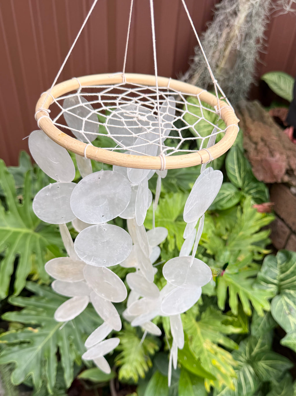 Capiz Shell Dreamcatcher