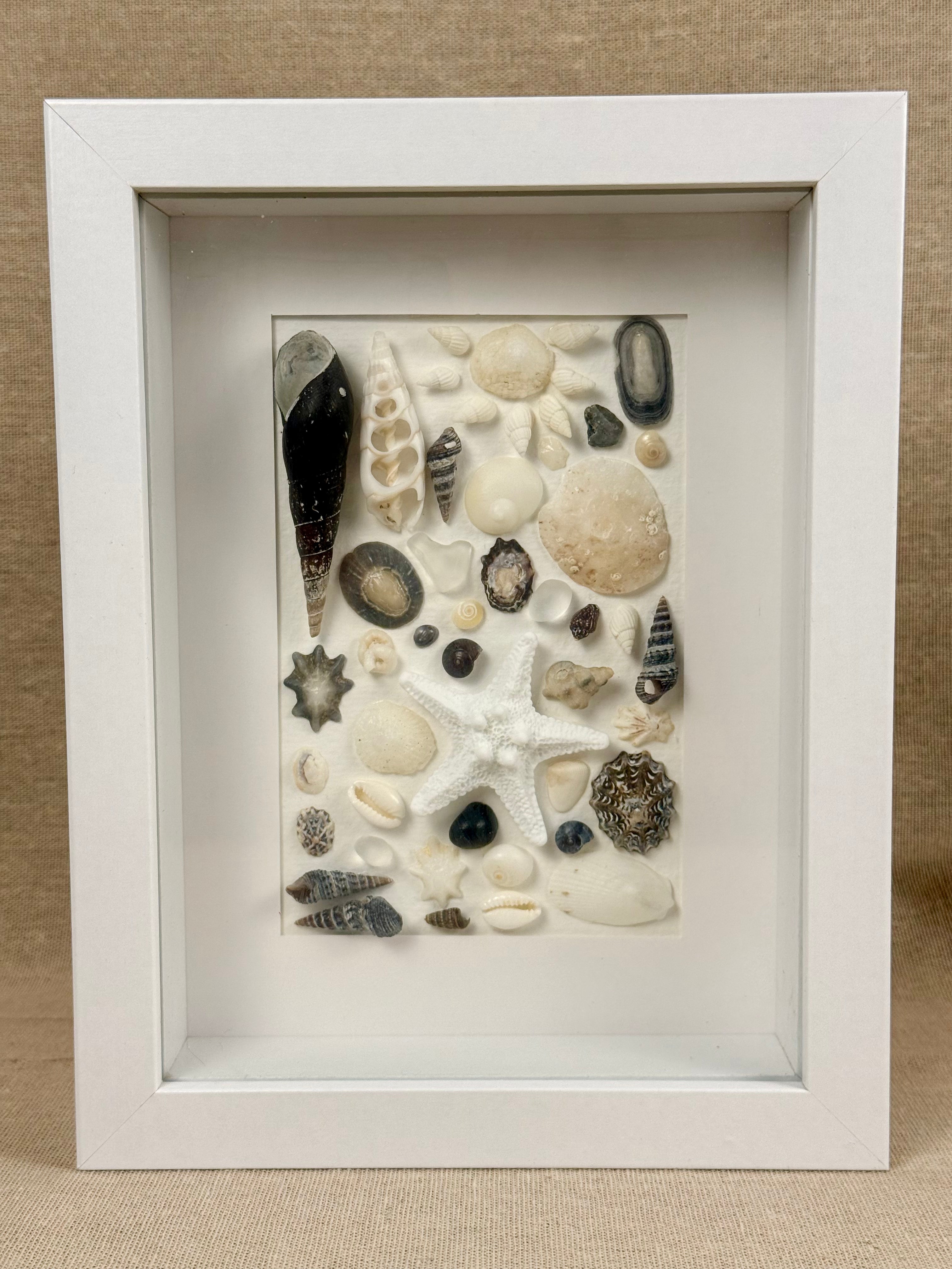Shell Art – Coastal Collection

Bring a touch of the Australian coast into your home with this delicate handmade shell art.

A beautiful selection of natural seashells, sea glass and a small starfish are carefully arranged in soft shades of white, ivory a
