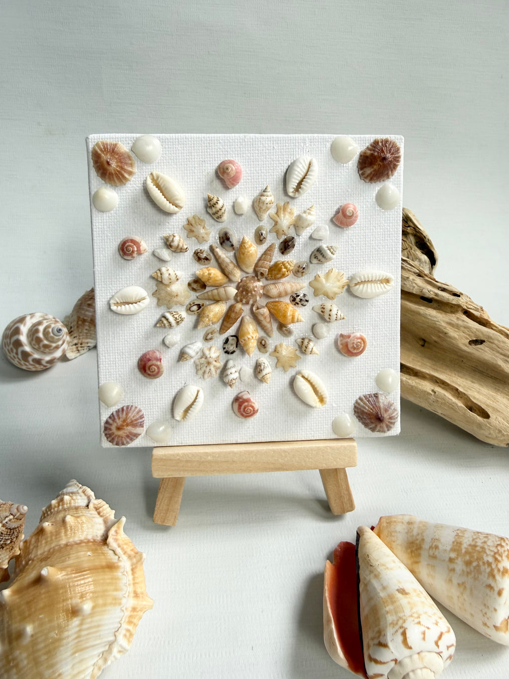 Golden Shell Bloom