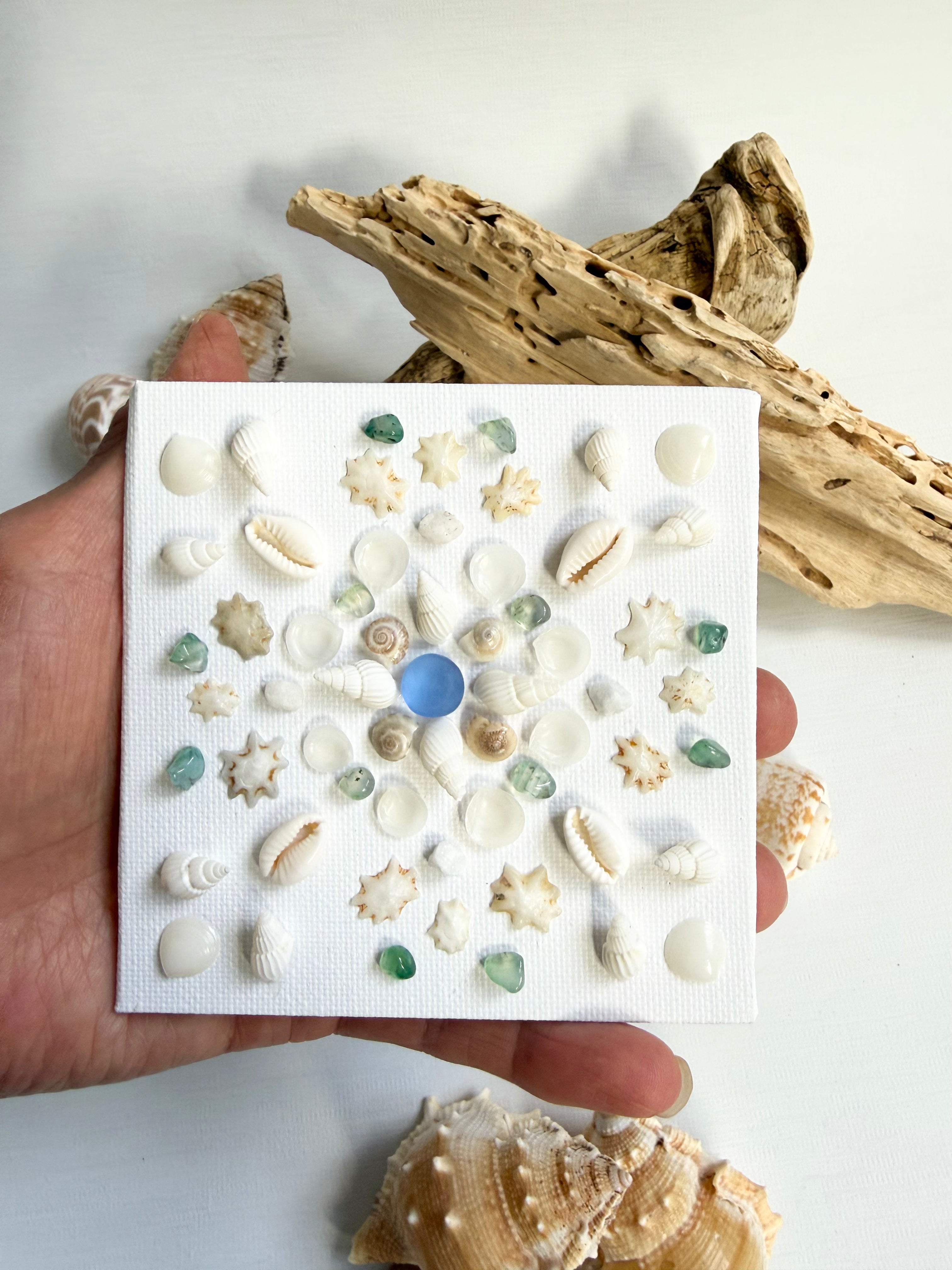 Seaford Shell Art