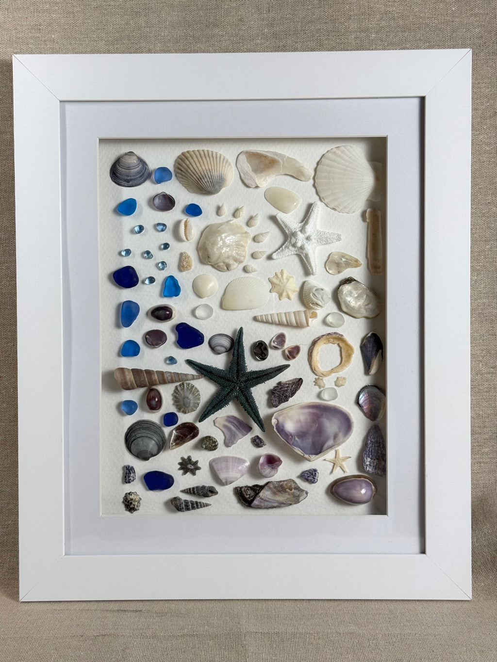 Sea Glass & Shell Collection