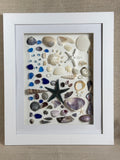 Sea Glass & Shell Collection