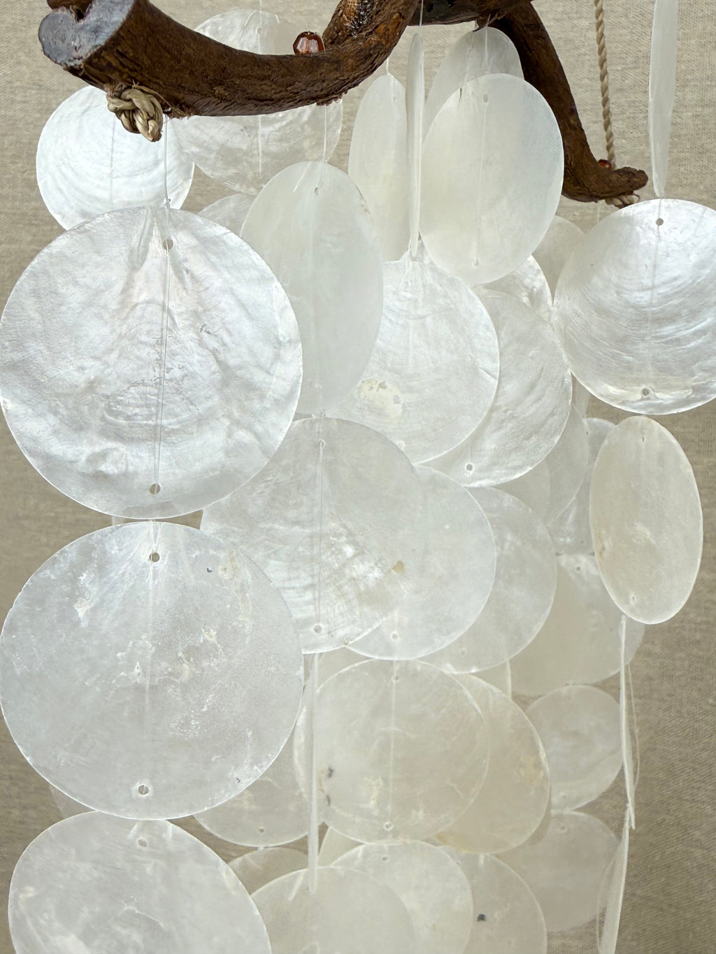 Coastal Driftwood & Capiz Shell Wall Hanging