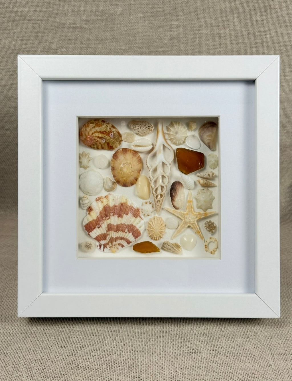 Golden Shore Collection