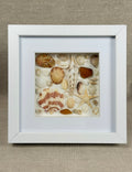 Golden Shore Collection