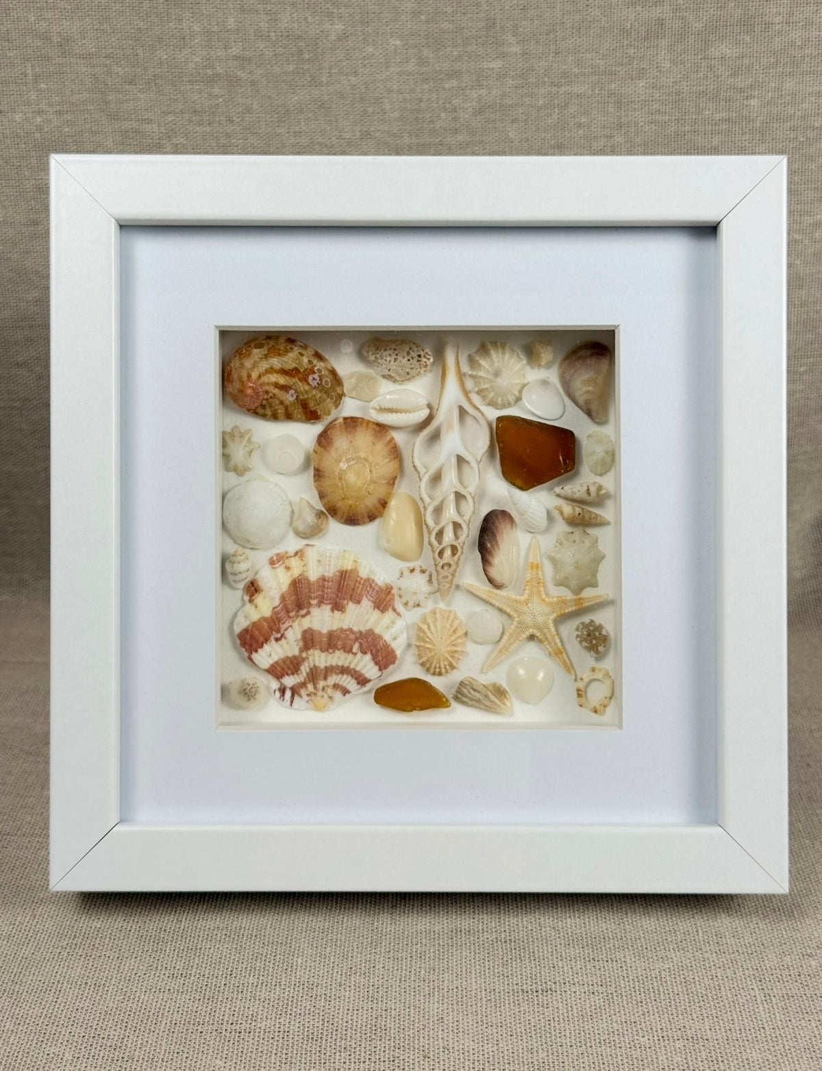 Golden Shore Collection