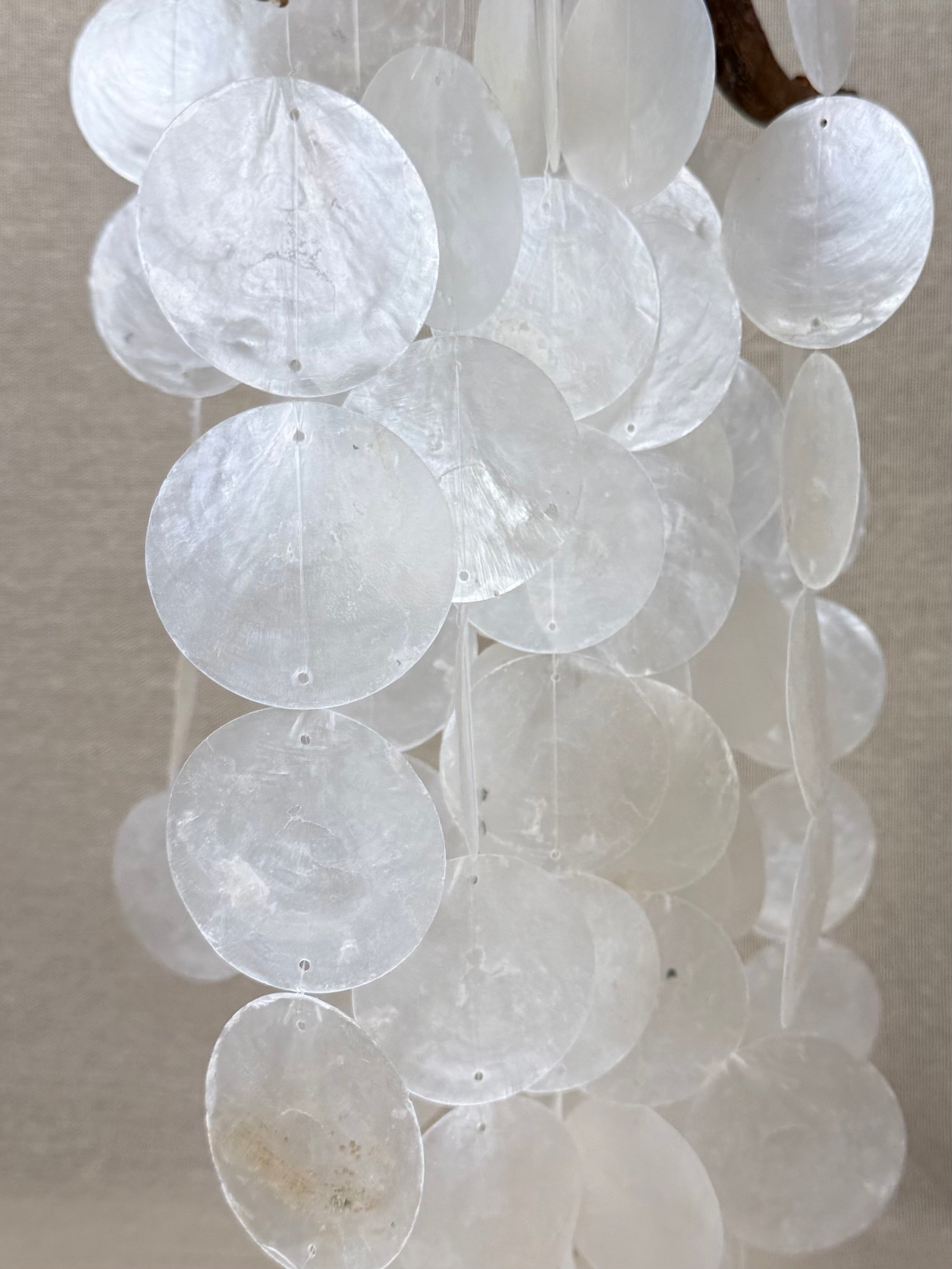 Coastal Driftwood & Capiz Shell Wall Hanging