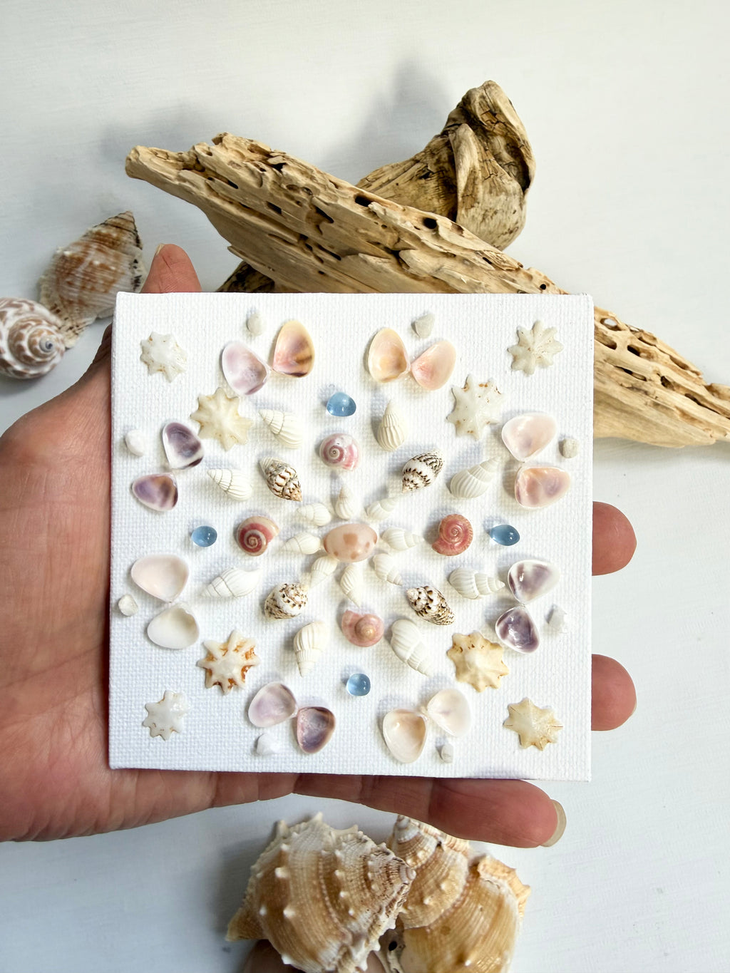 Treasure Shell Mandala
