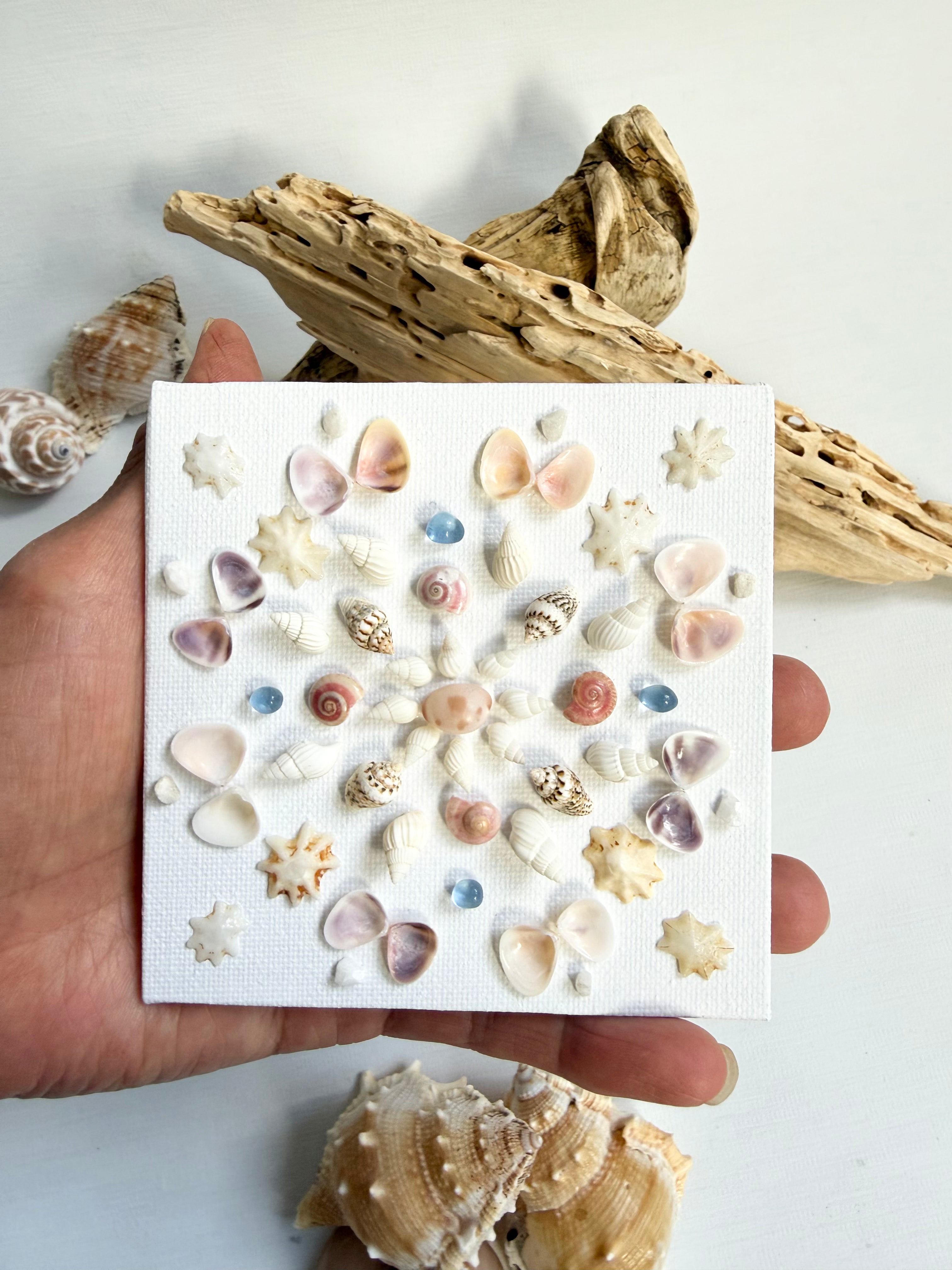 Treasure Shell Mandala