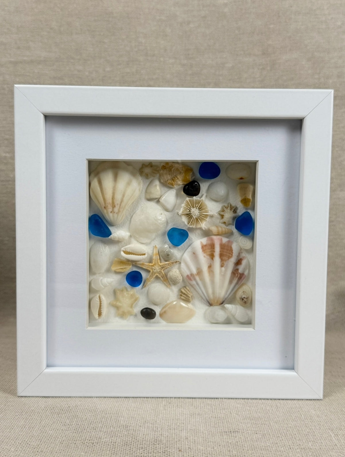 Blue Ocean Collection