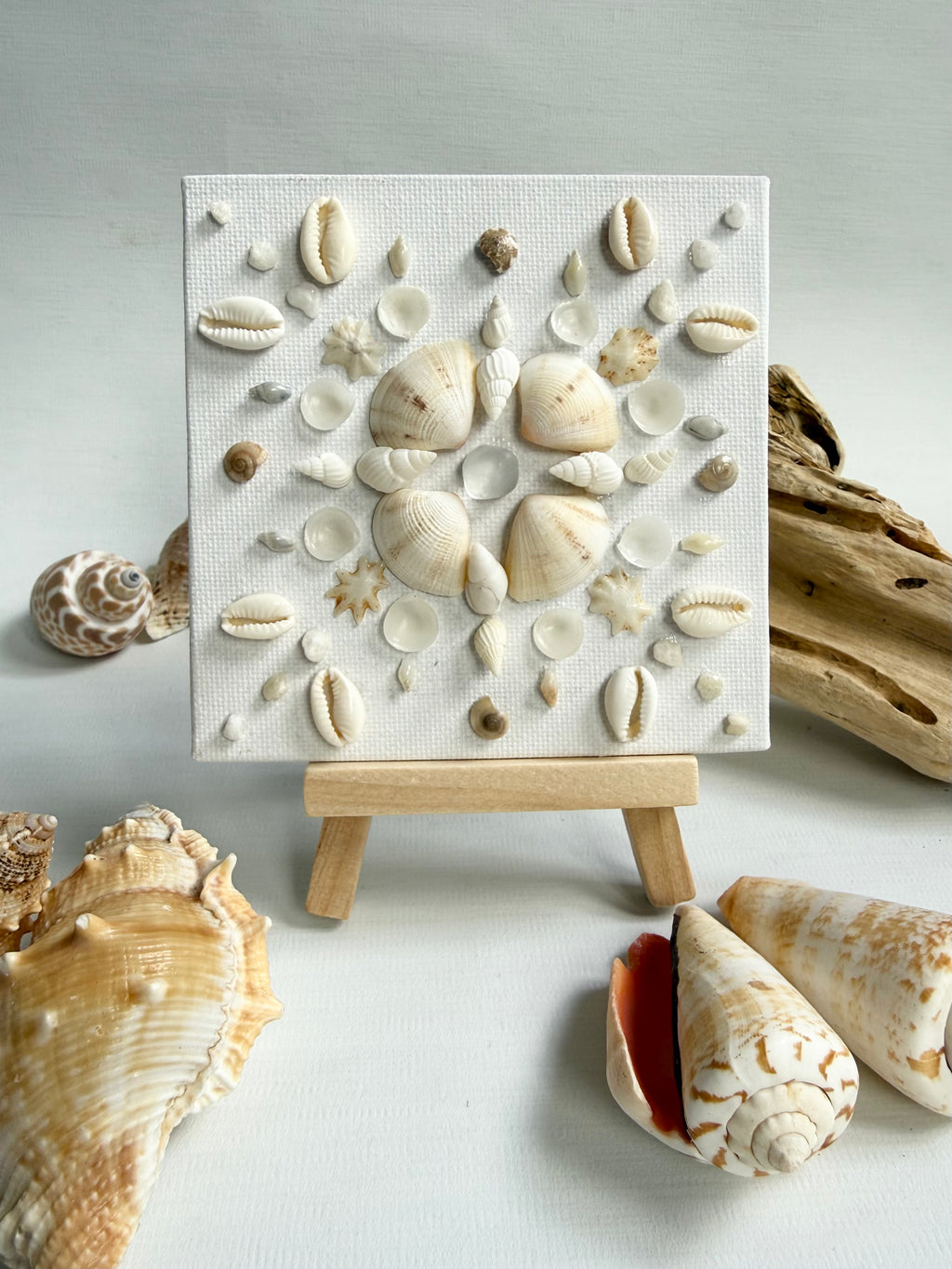 Pearl Coast Mandala
