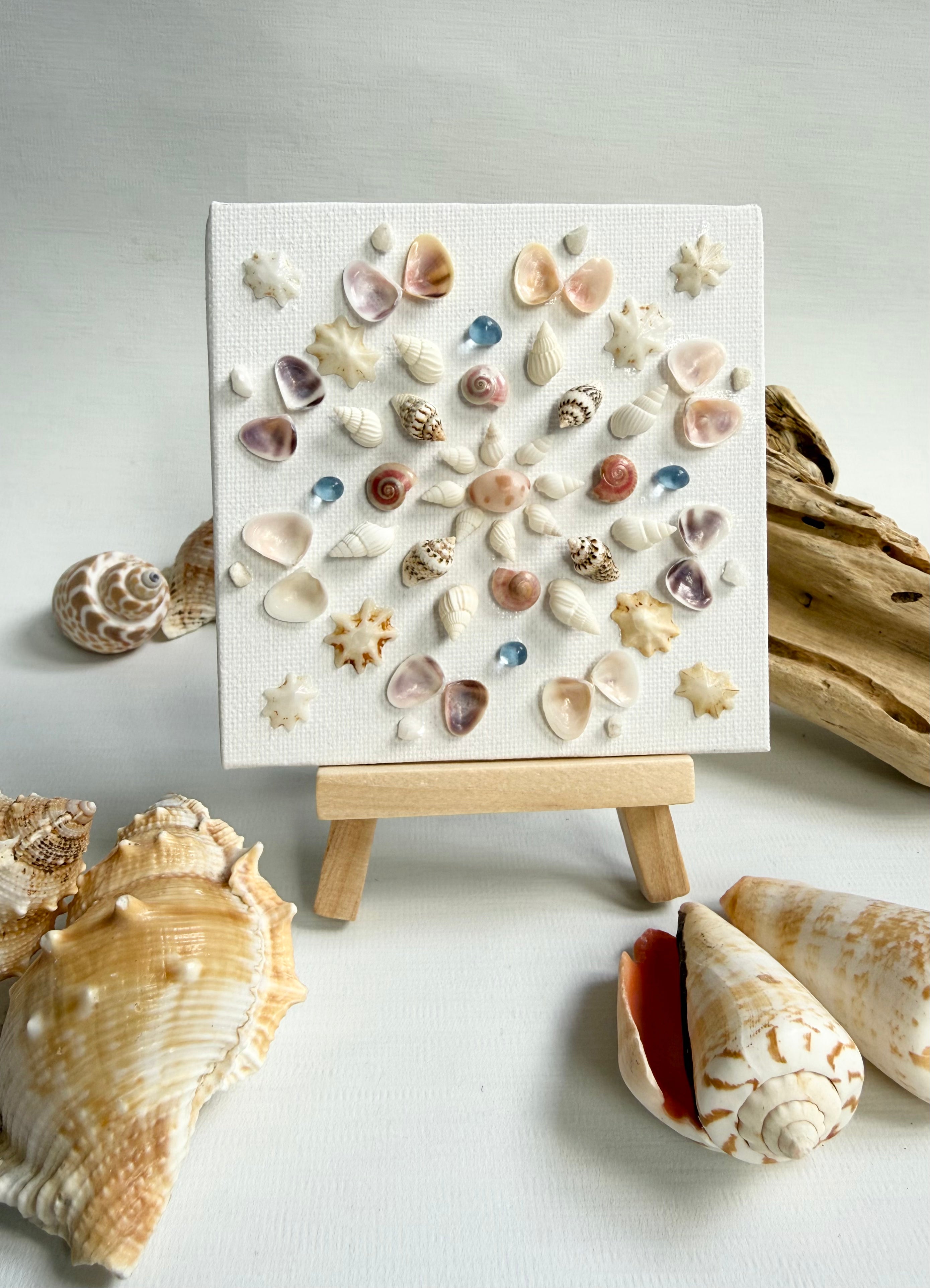 Treasure Shell Mandala