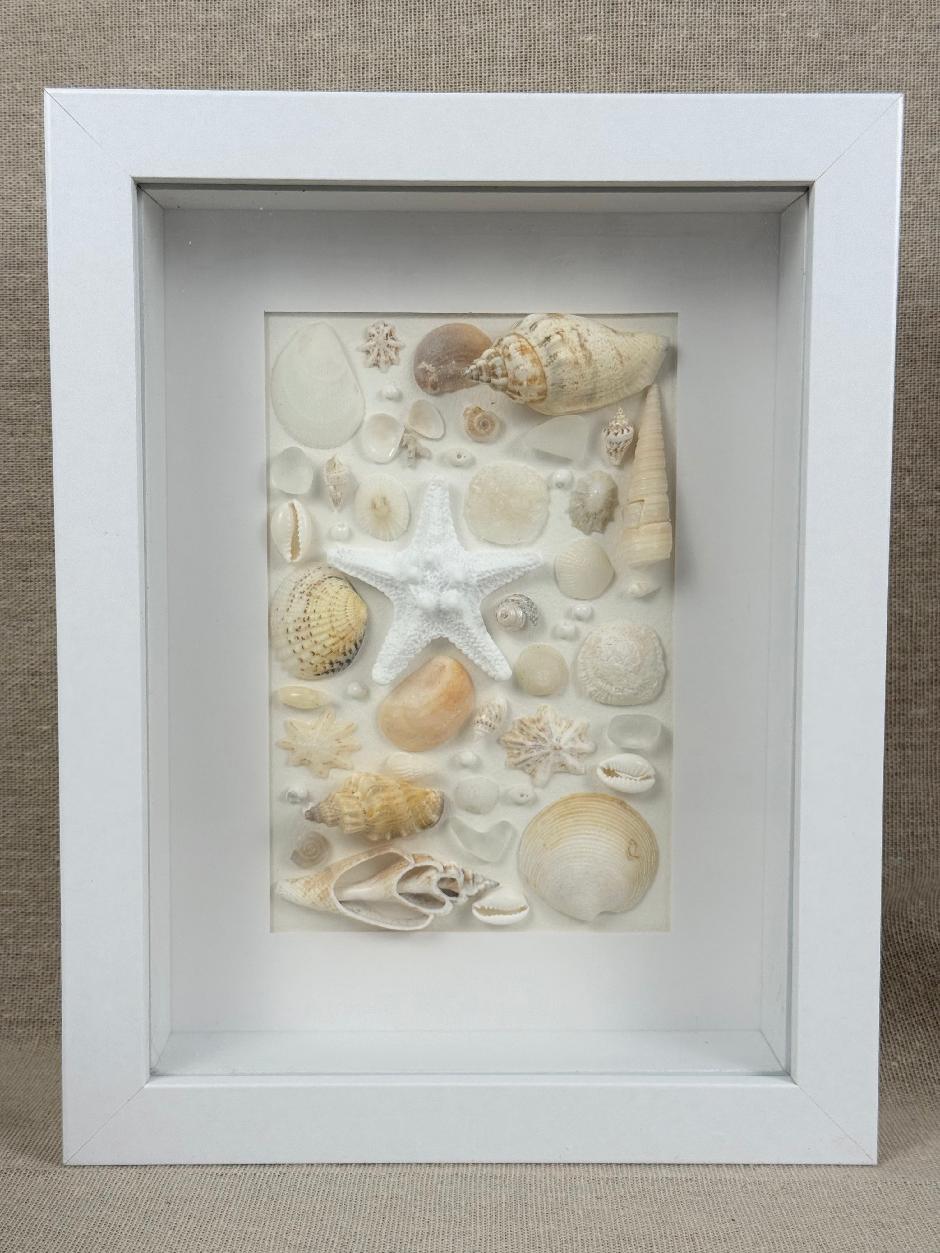 White Coastal Shell Art