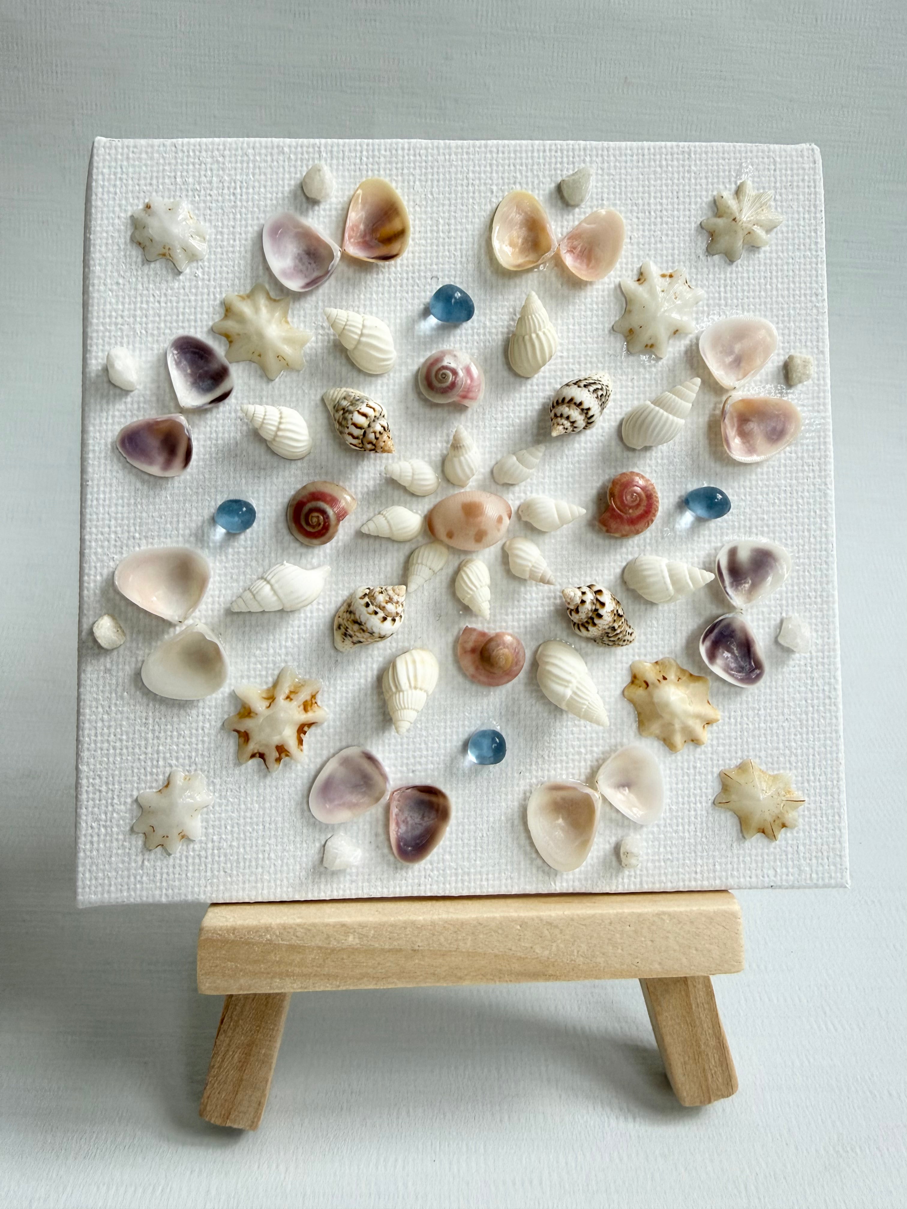 Treasure Shell Mandala