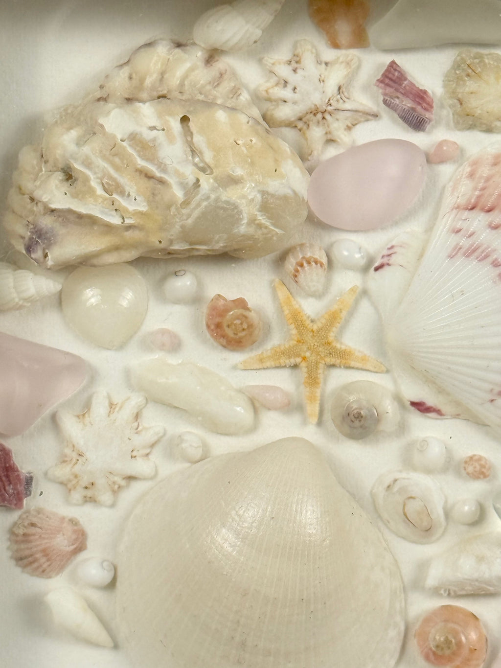 Pink Coastal Collection