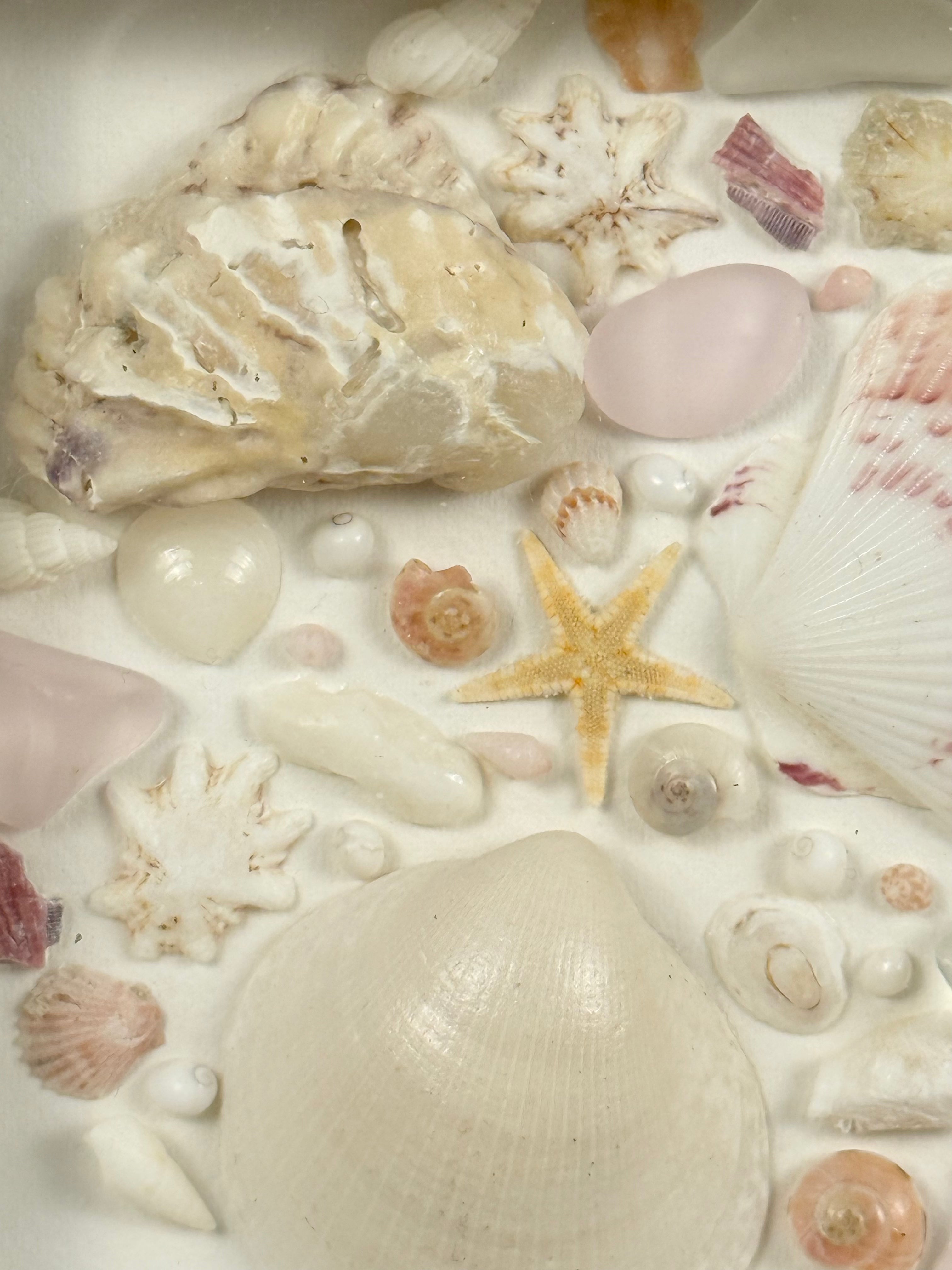 Pink Coastal Collection