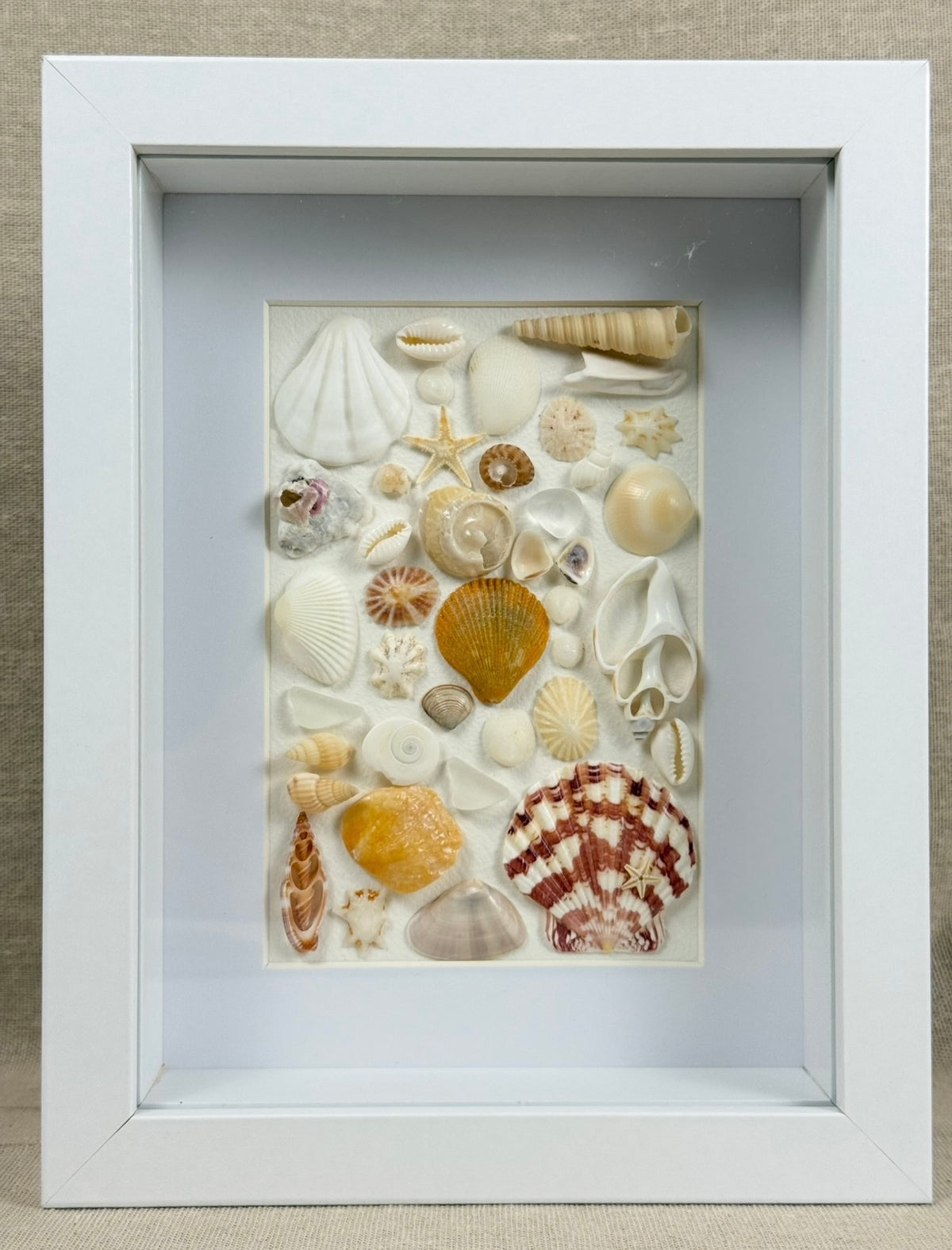 Sea Treasures Collection