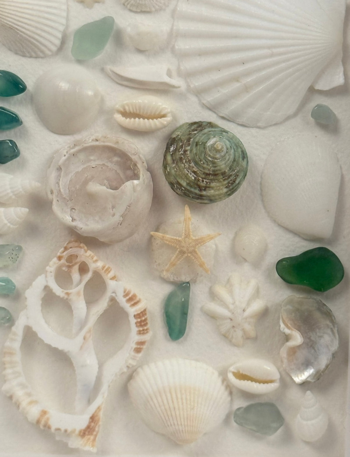 Blue Ocean Collection – Sea Glass & Shell Specimen Frame

Inspired by the vibrant colors of the ocean, this one-of-a-kind specimen frame features genuine seashells, coral, starfish, and striking blue sea glass.

Each element is thoughtfully arranged to hi