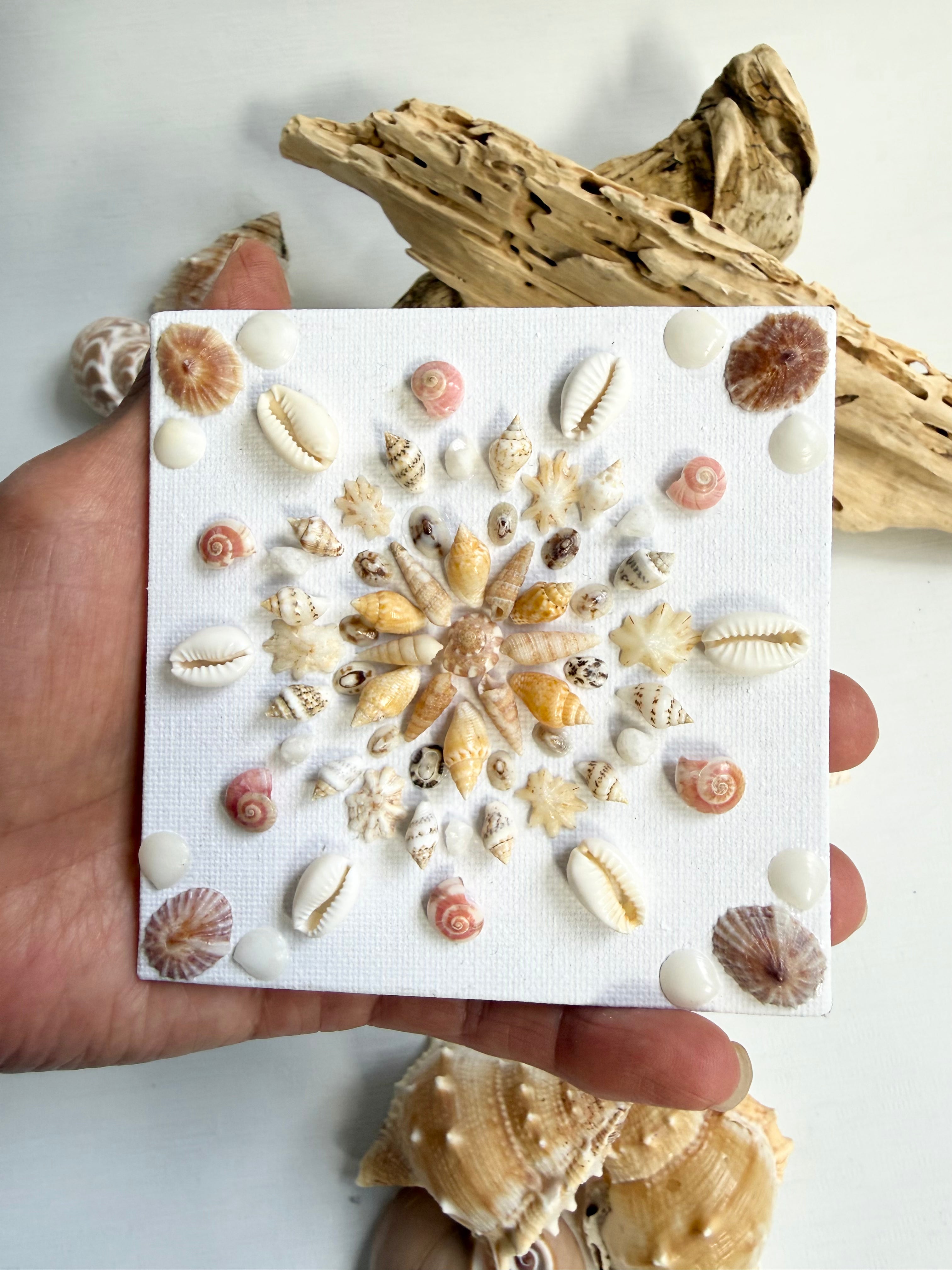 Golden Shell Bloom