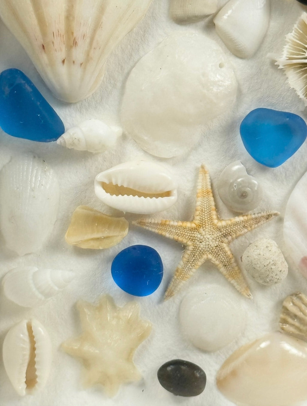 Blue Ocean Collection