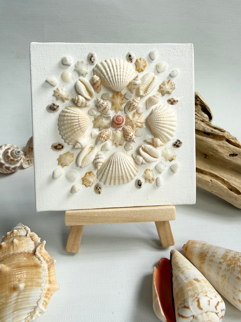 Ivory Tide Bloom