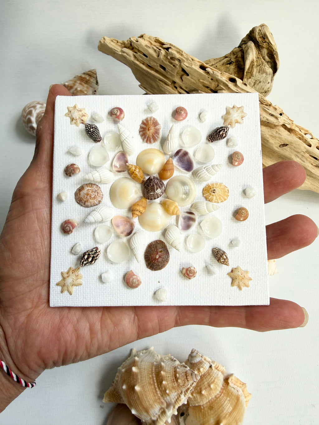 Ocean Treasure Bloom
