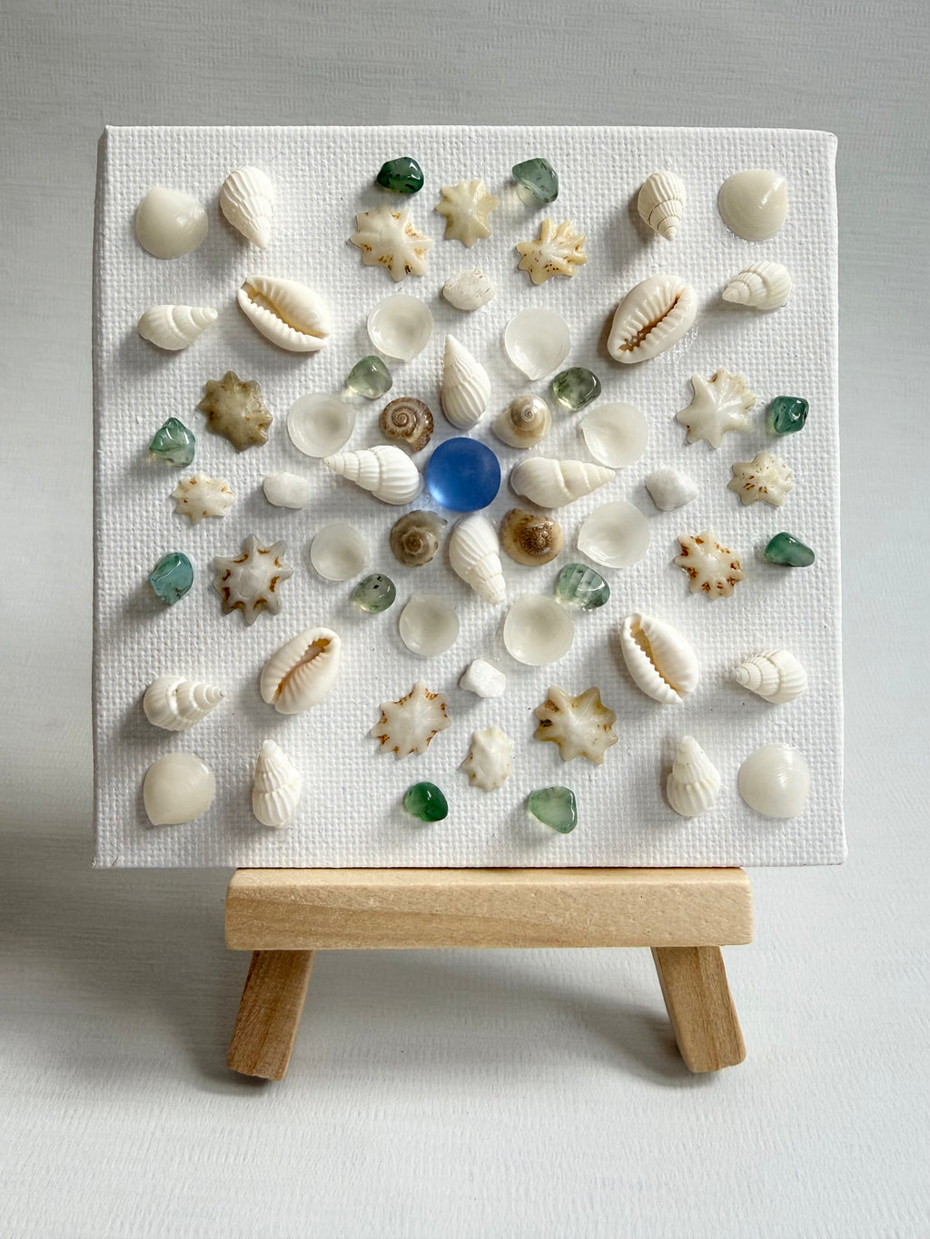 Seaford Shell Art