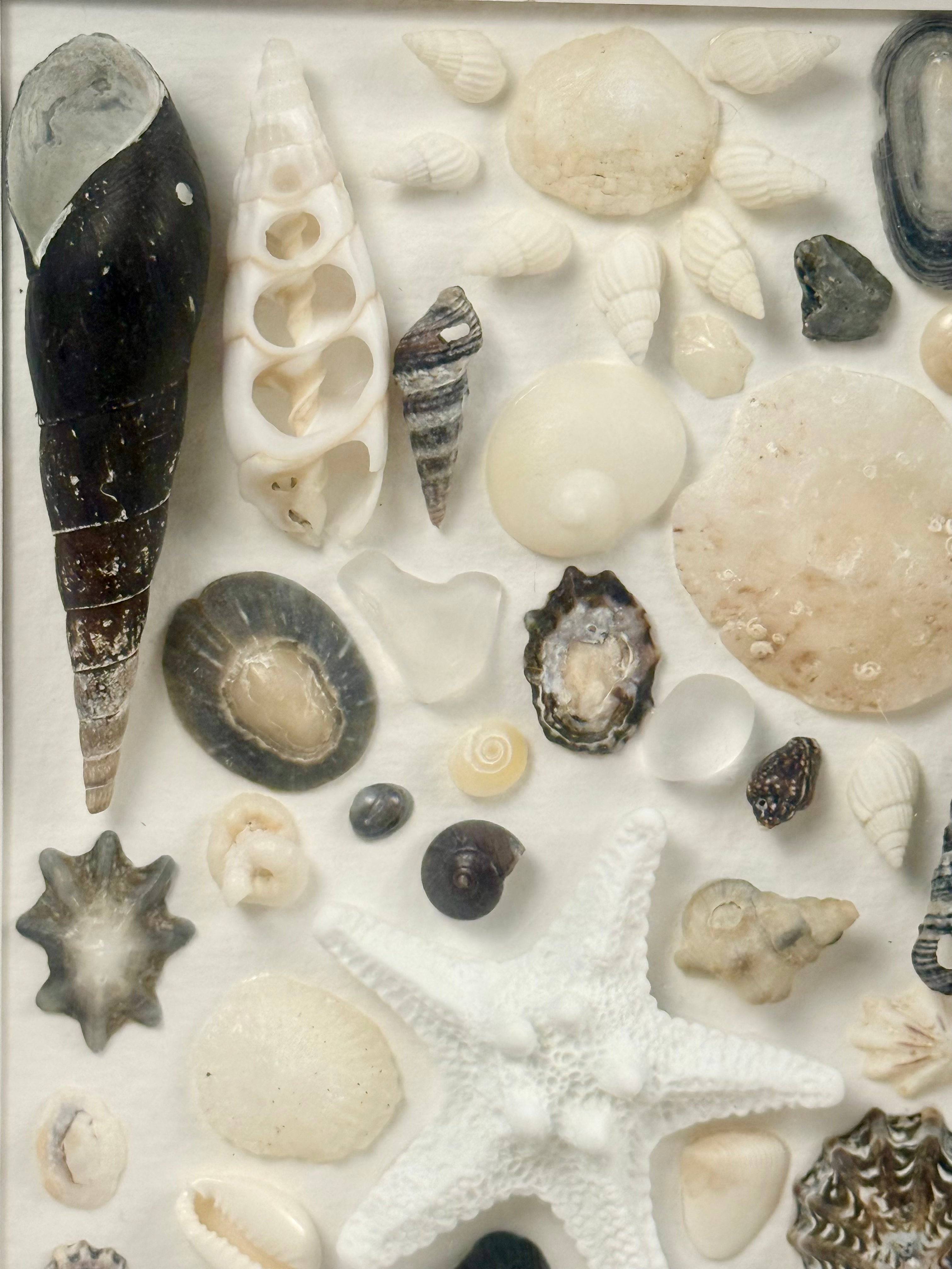 Shell Art – Coastal Collection

Bring a touch of the Australian coast into your home with this delicate handmade shell art.

A beautiful selection of natural seashells, sea glass and a small starfish are carefully arranged in soft shades of white, ivory a