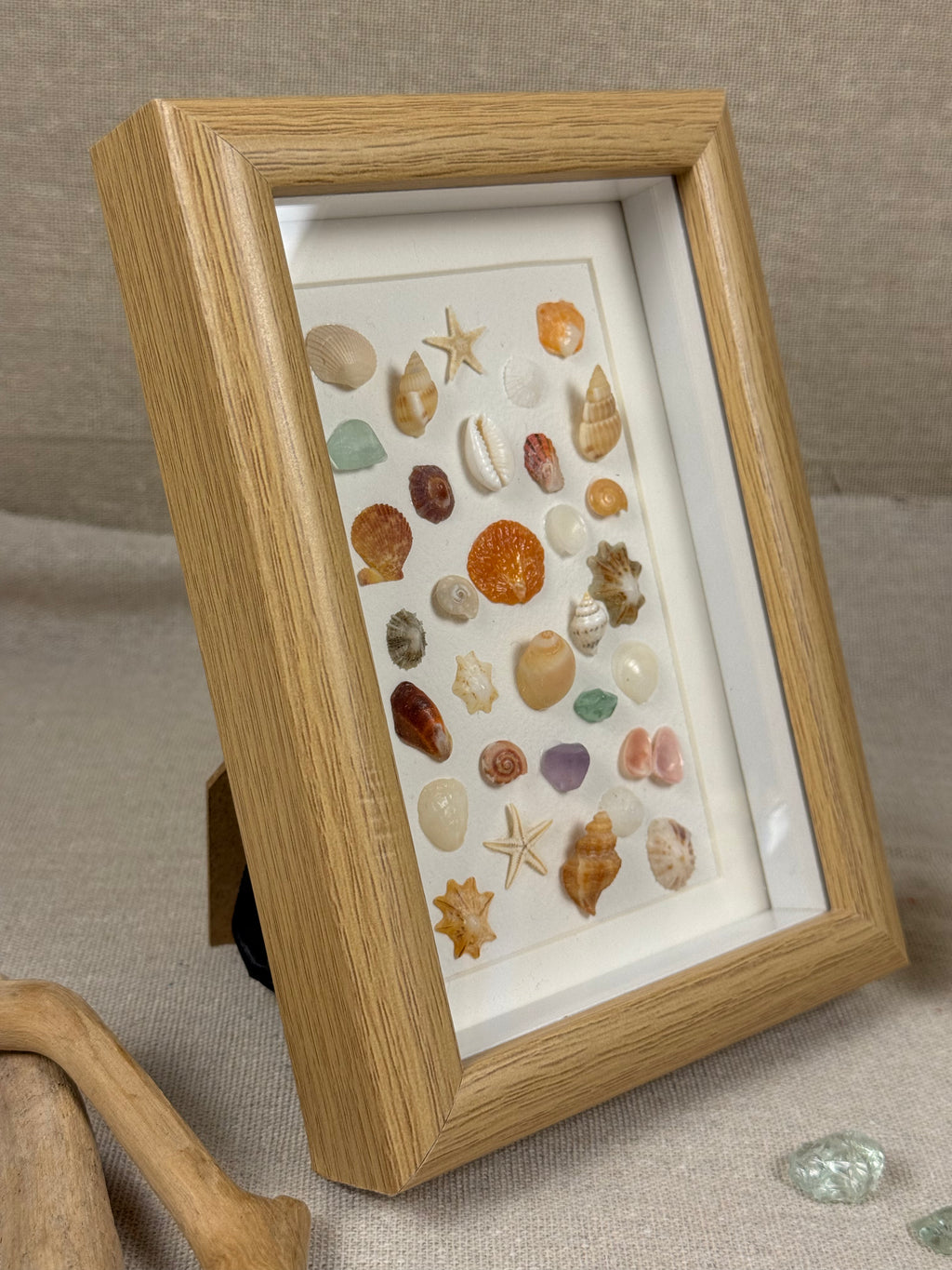 Ocean Treasure Specimen Fram