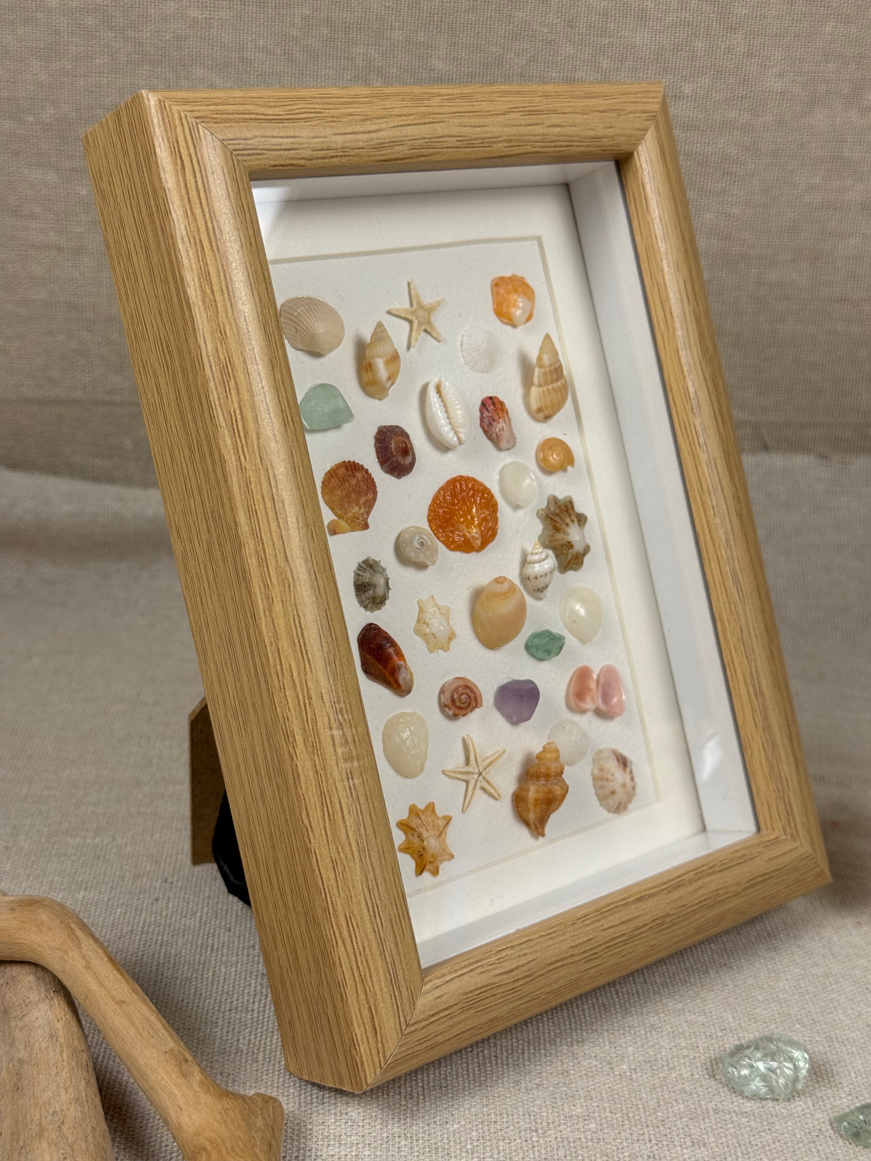 Ocean Treasure Specimen Fram
