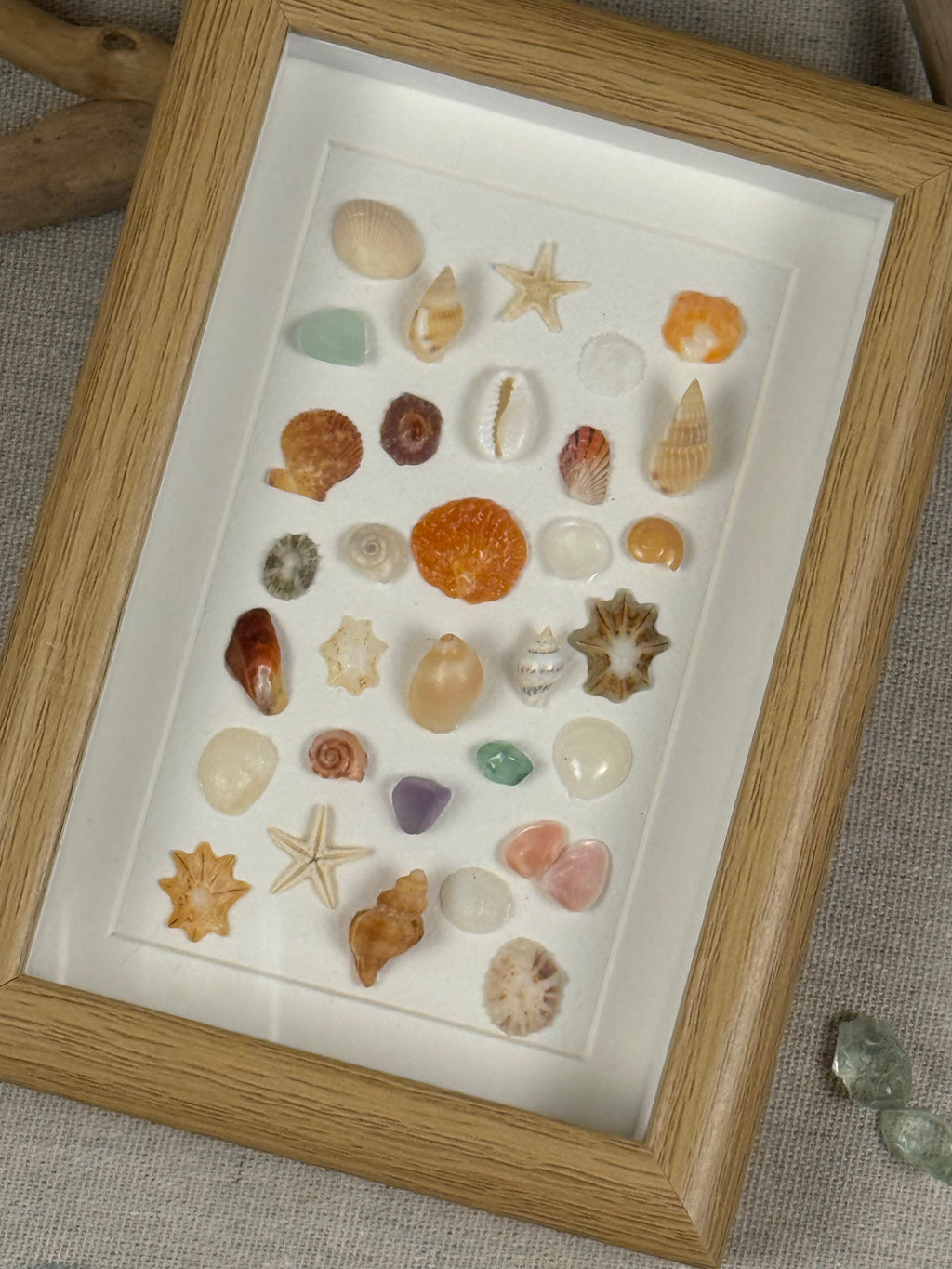 Ocean Treasure Specimen Fram