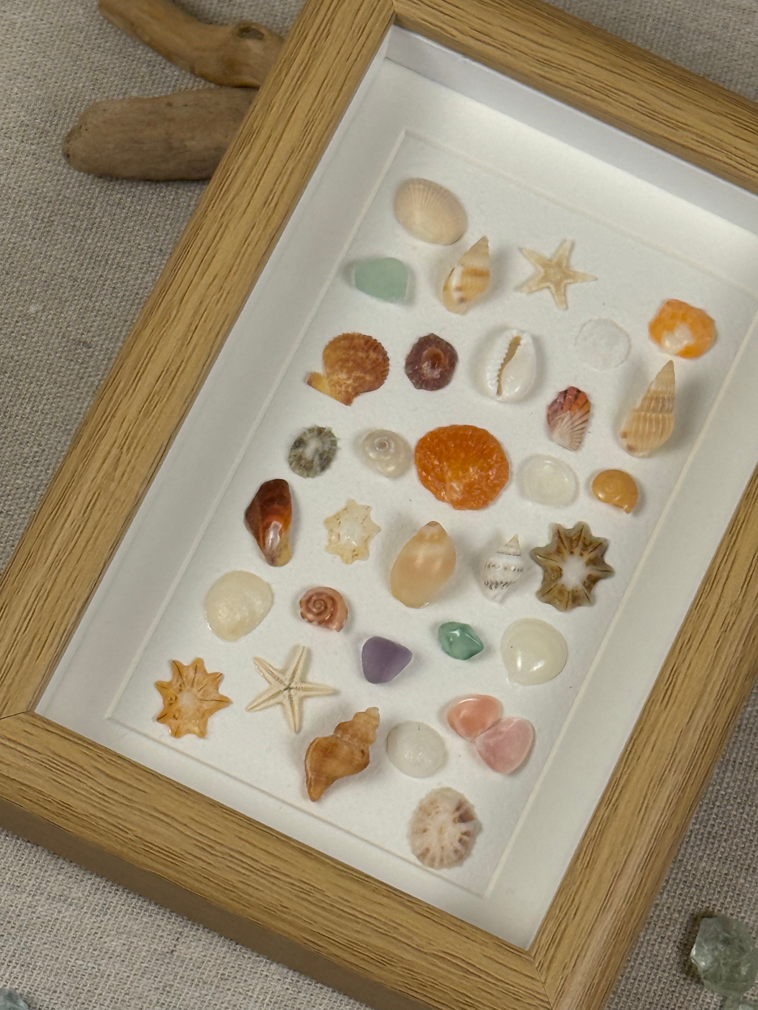 Ocean Treasure Specimen Fram