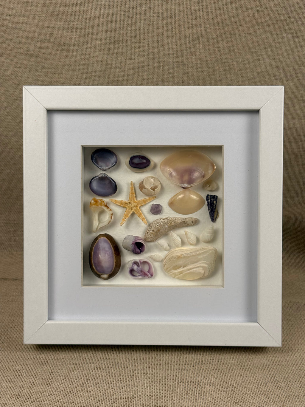 Purple Tides Collection